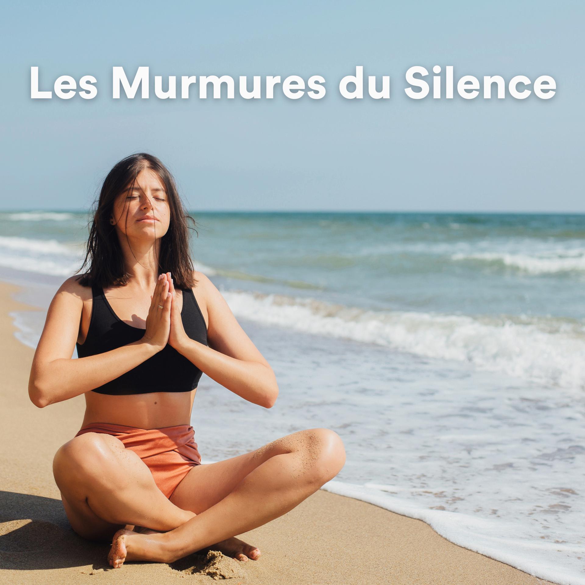 Постер альбома Les Murmures du Silence