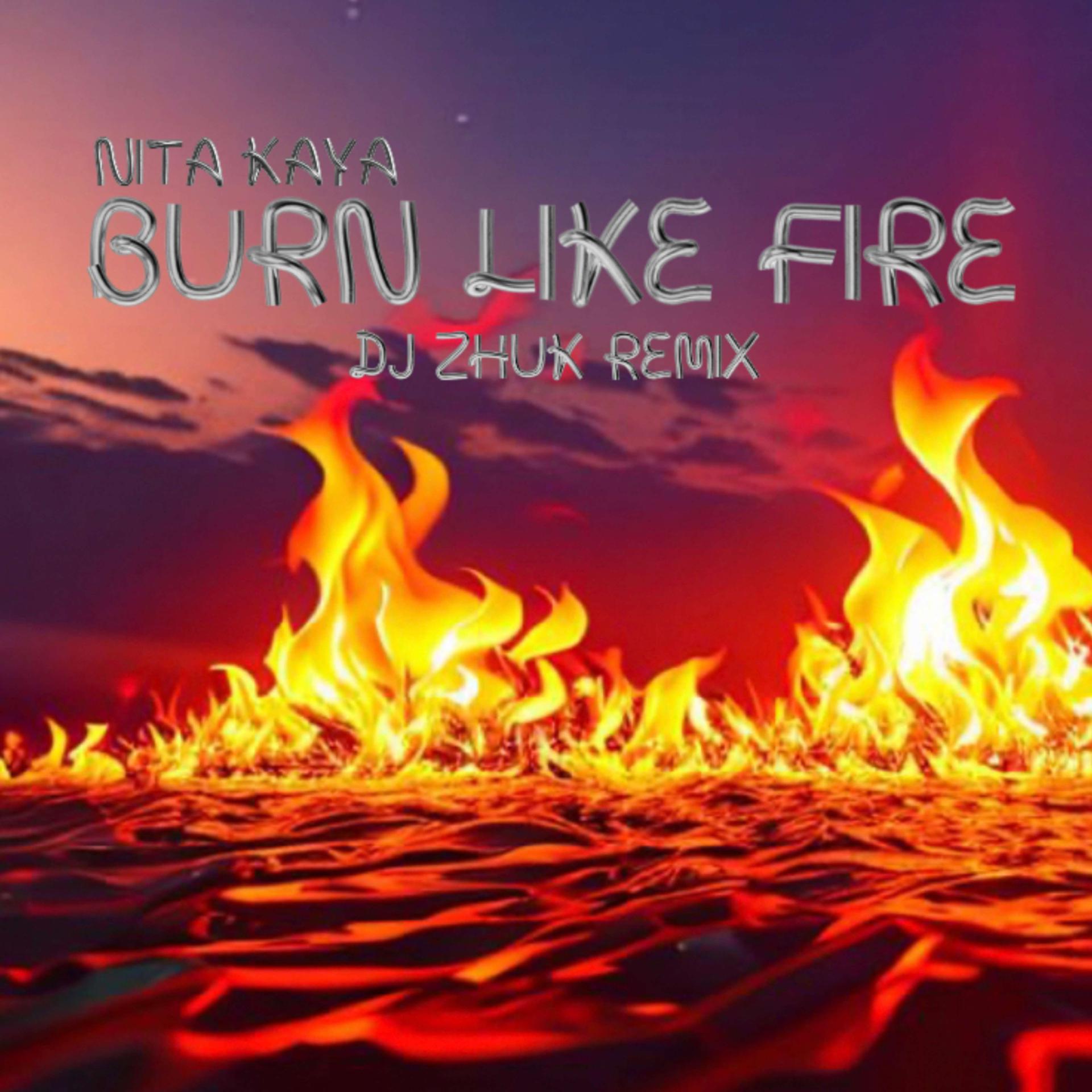 Постер альбома Burn Like Fire (DJ Zhuk remix)