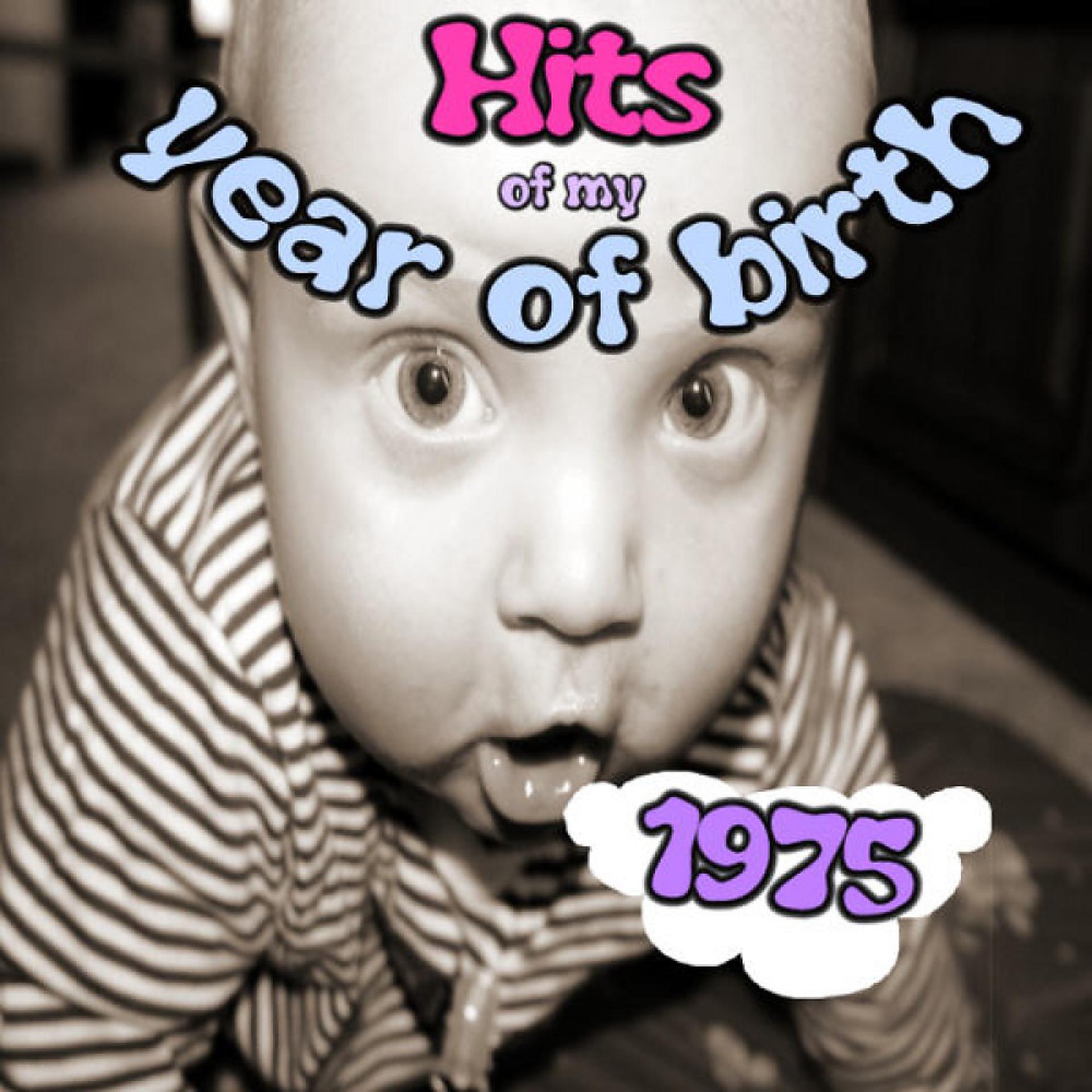 Постер альбома Hits of My Year of Birth-1975 / Hits Aus Meinem Geburtsjahr-1975