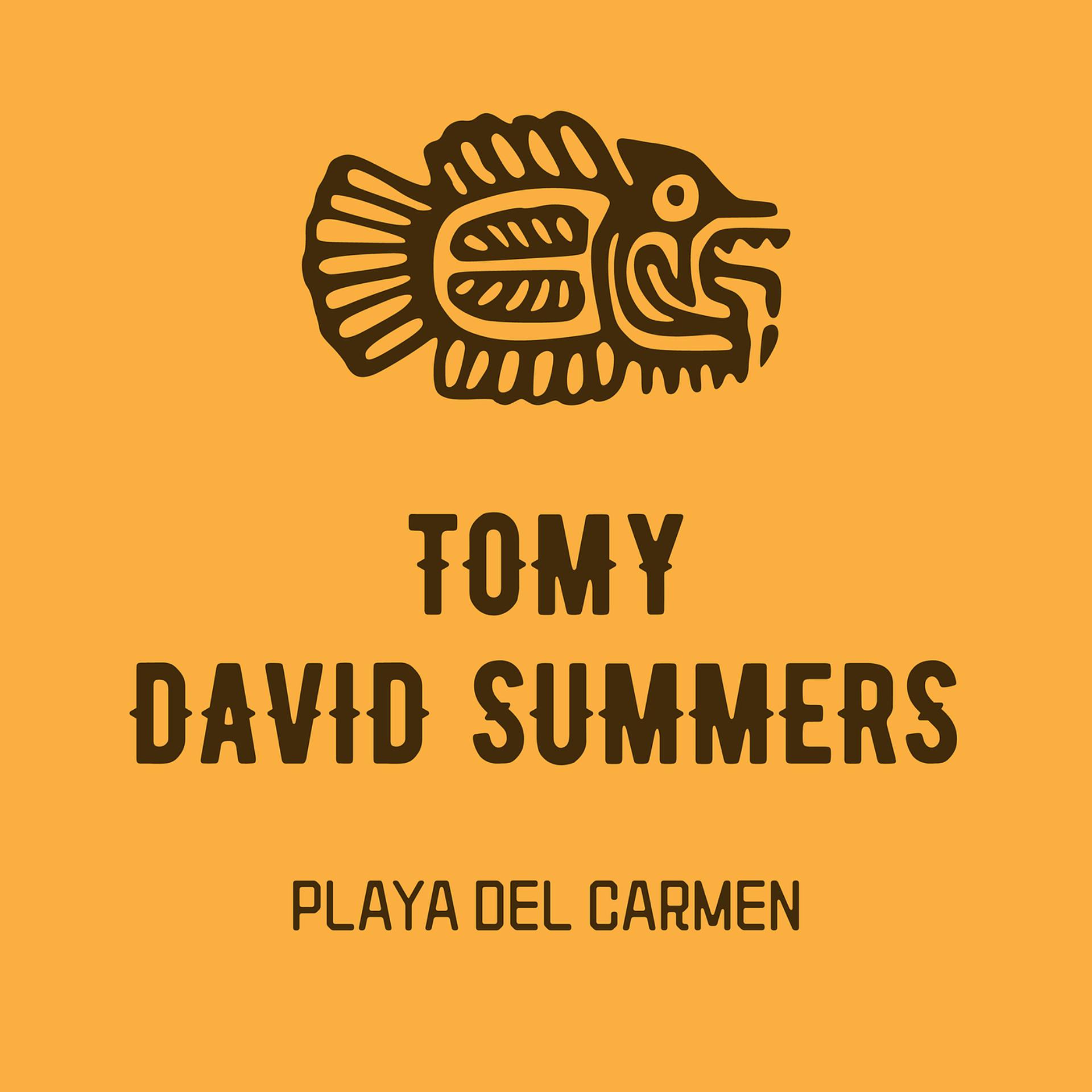 Постер альбома Playa Del Carmen