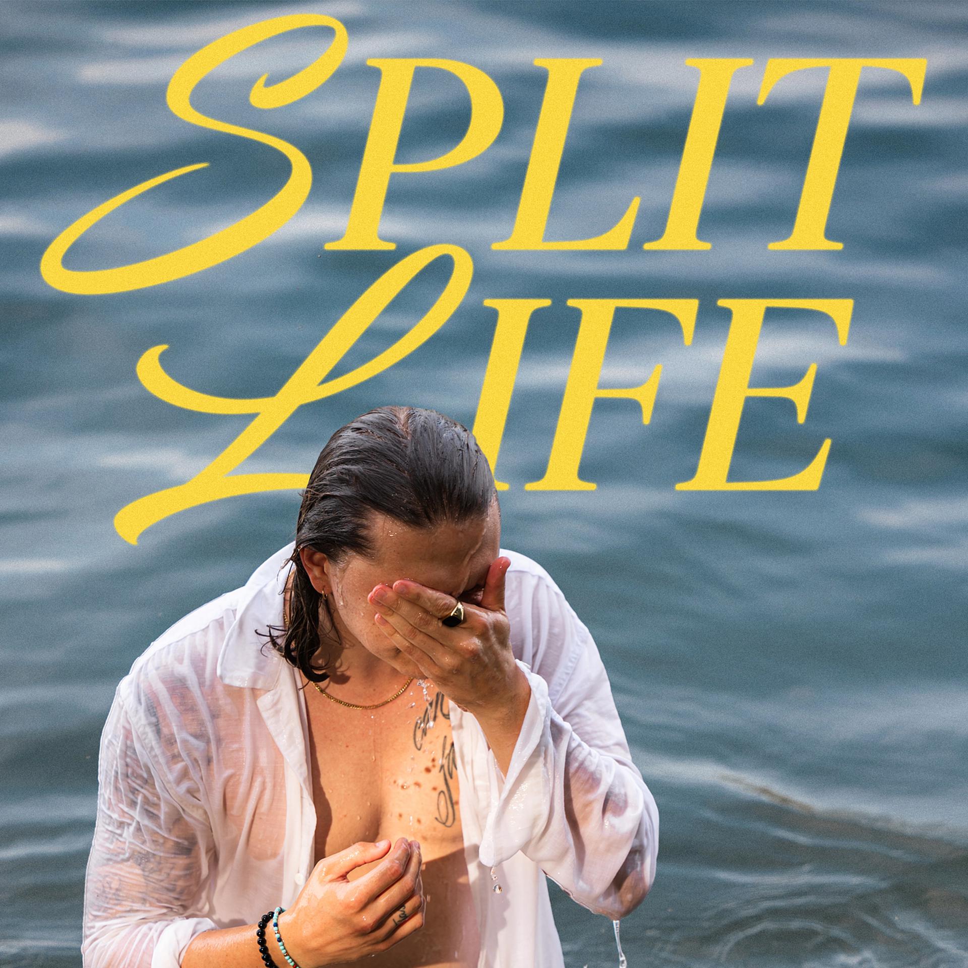 Постер альбома Split Life