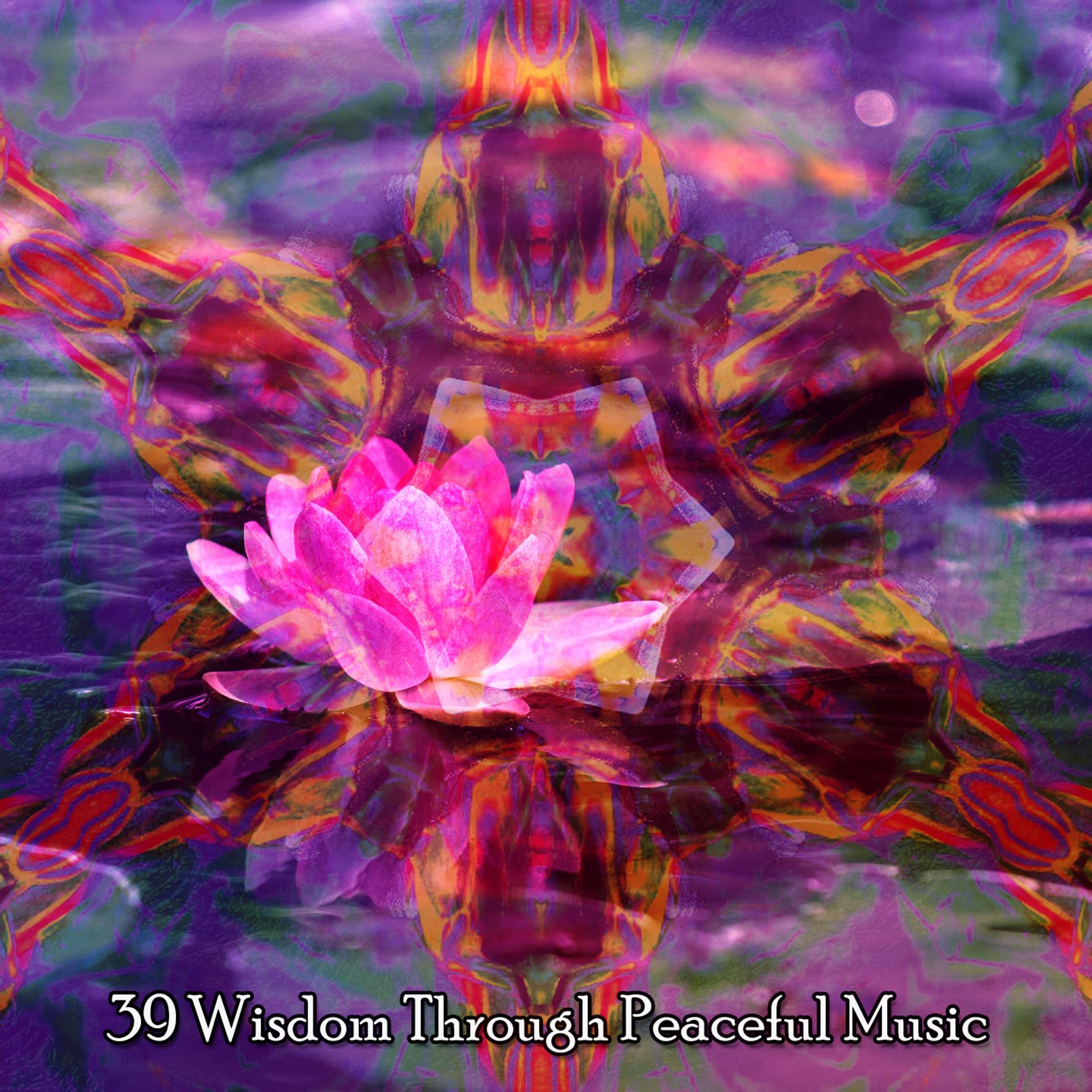 Постер альбома 39 Wisdom Through Peaceful Music
