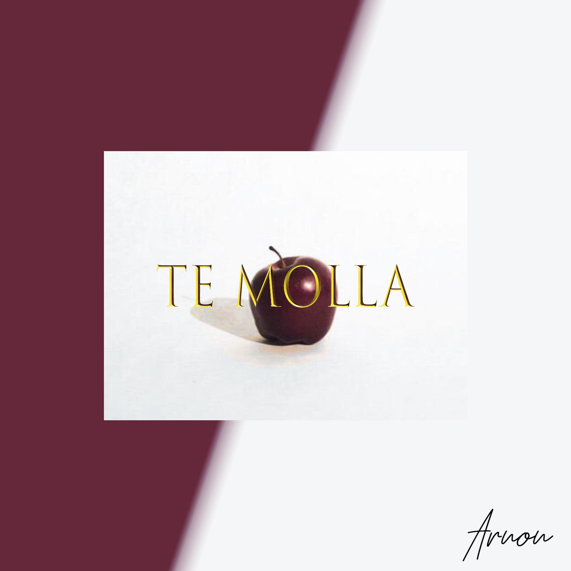Постер альбома Te Molla