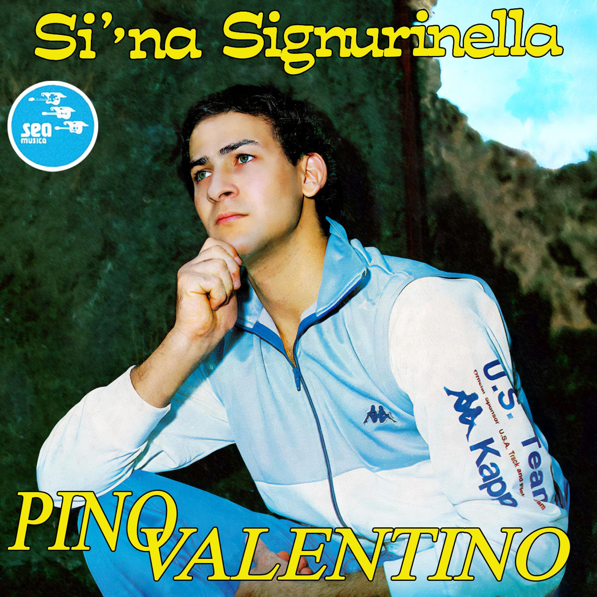 Постер альбома Si' 'na signurinella