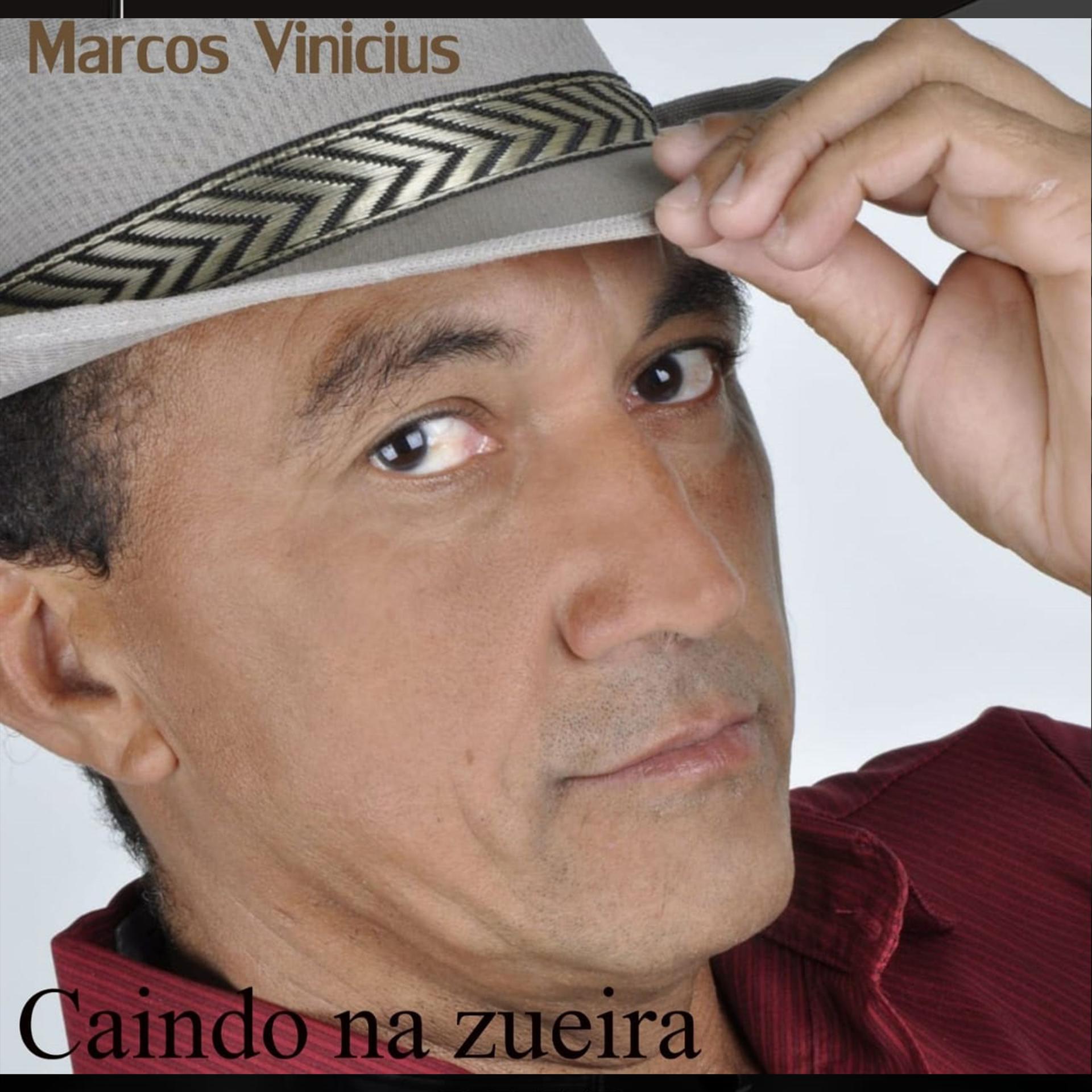 Постер альбома Caindo na Zueira