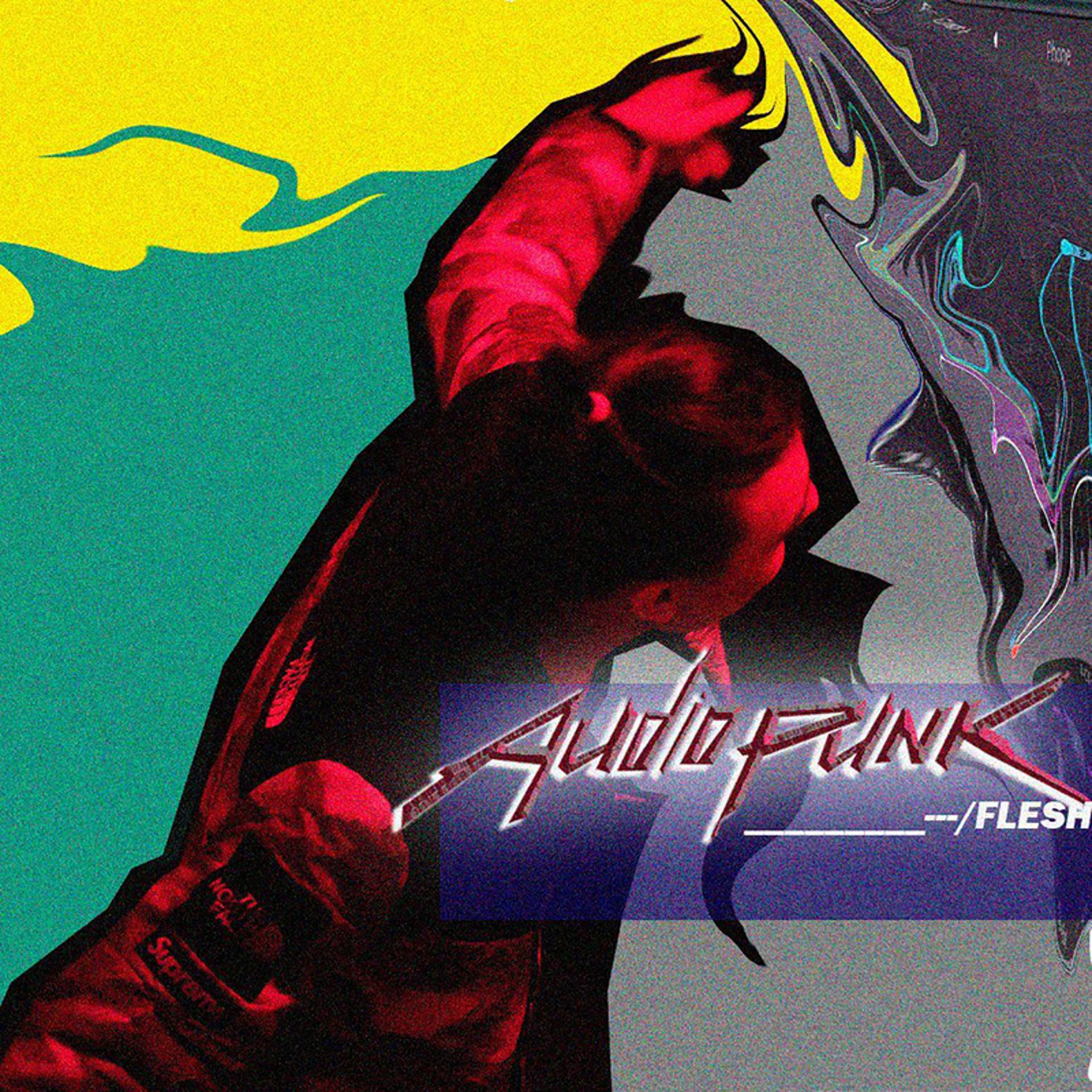 Постер альбома Audiopunk