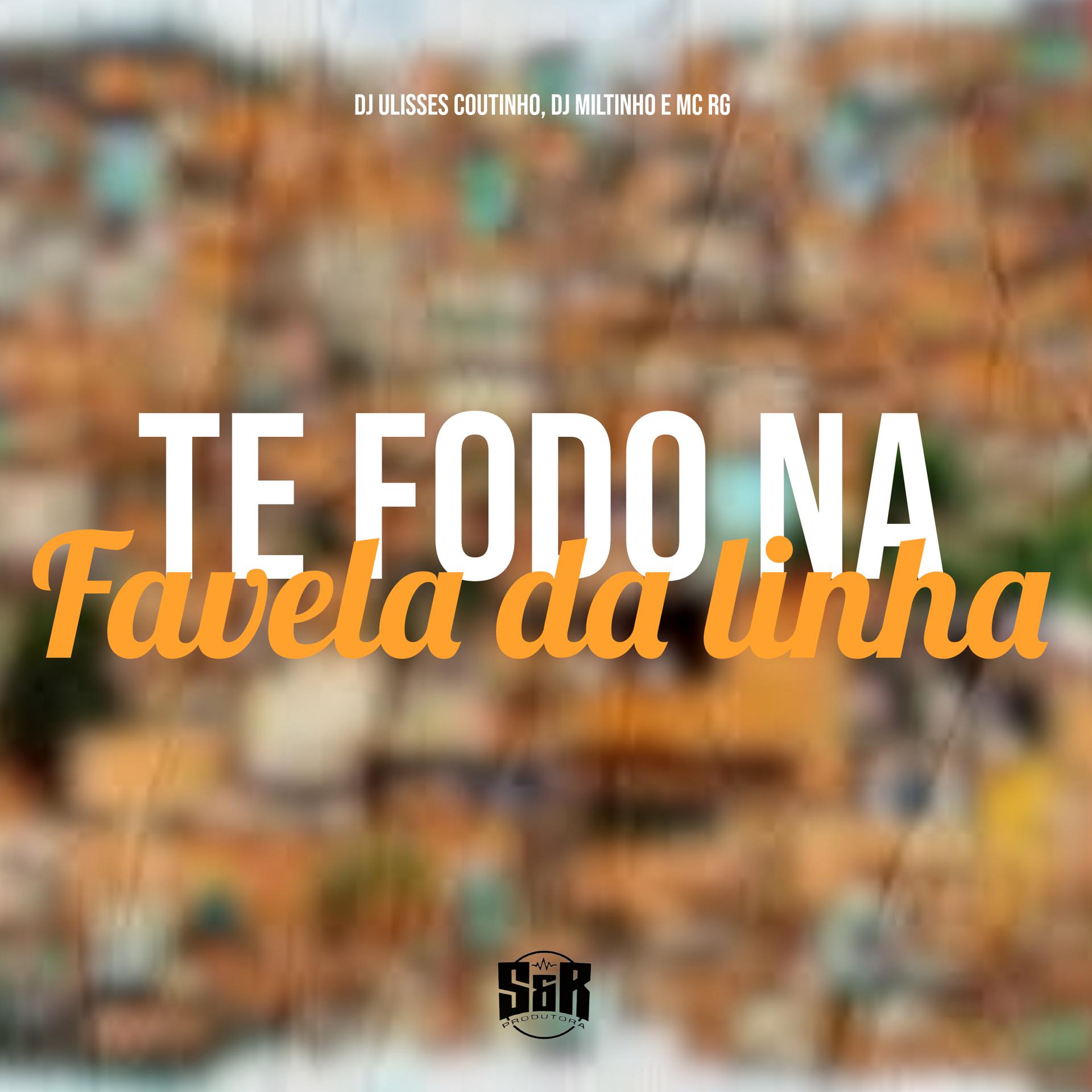 Постер альбома Te Fodo na Favela da Linha