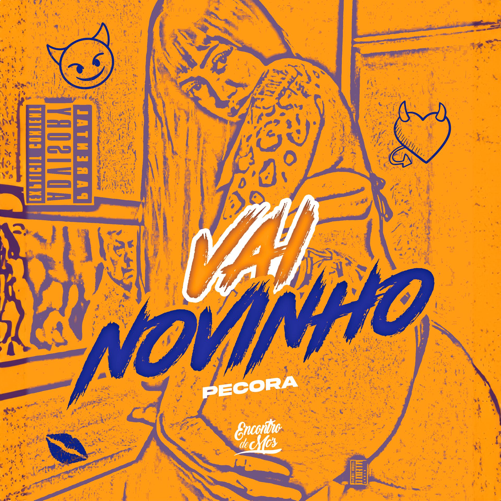 Постер альбома Vai Novinho