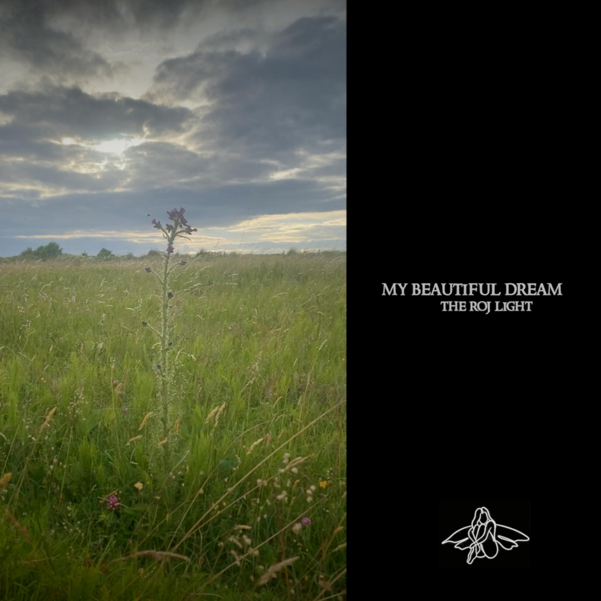 Постер альбома My Beautiful Dream