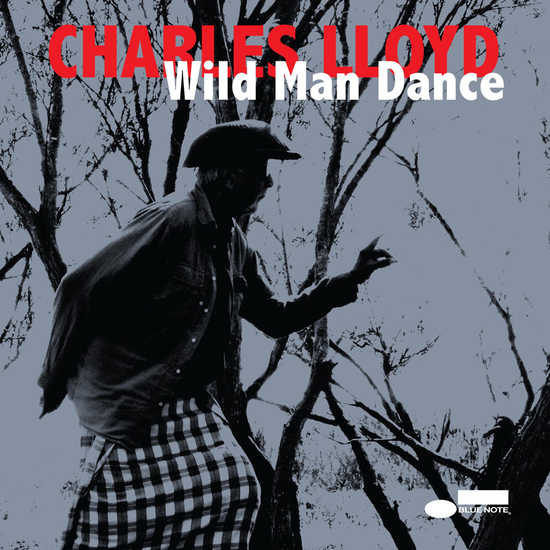 Постер альбома Wild Man Dance