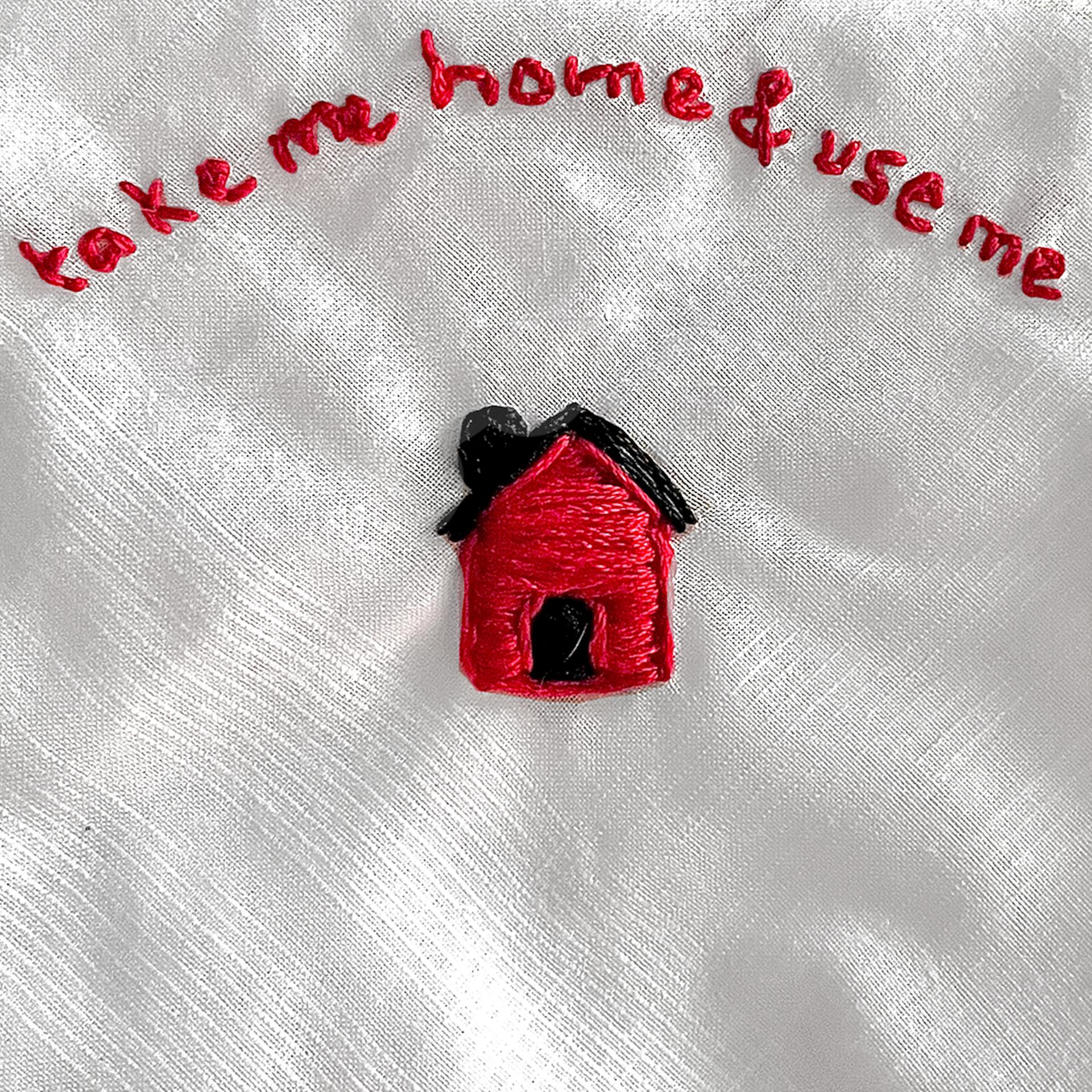 Постер альбома Take Me Home and Use Me