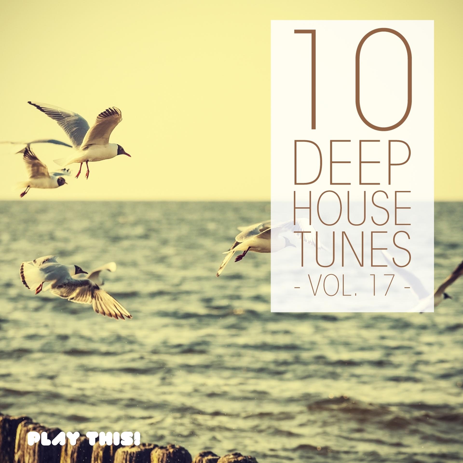 Постер альбома 10 Deep House Tunes, Vol. 17