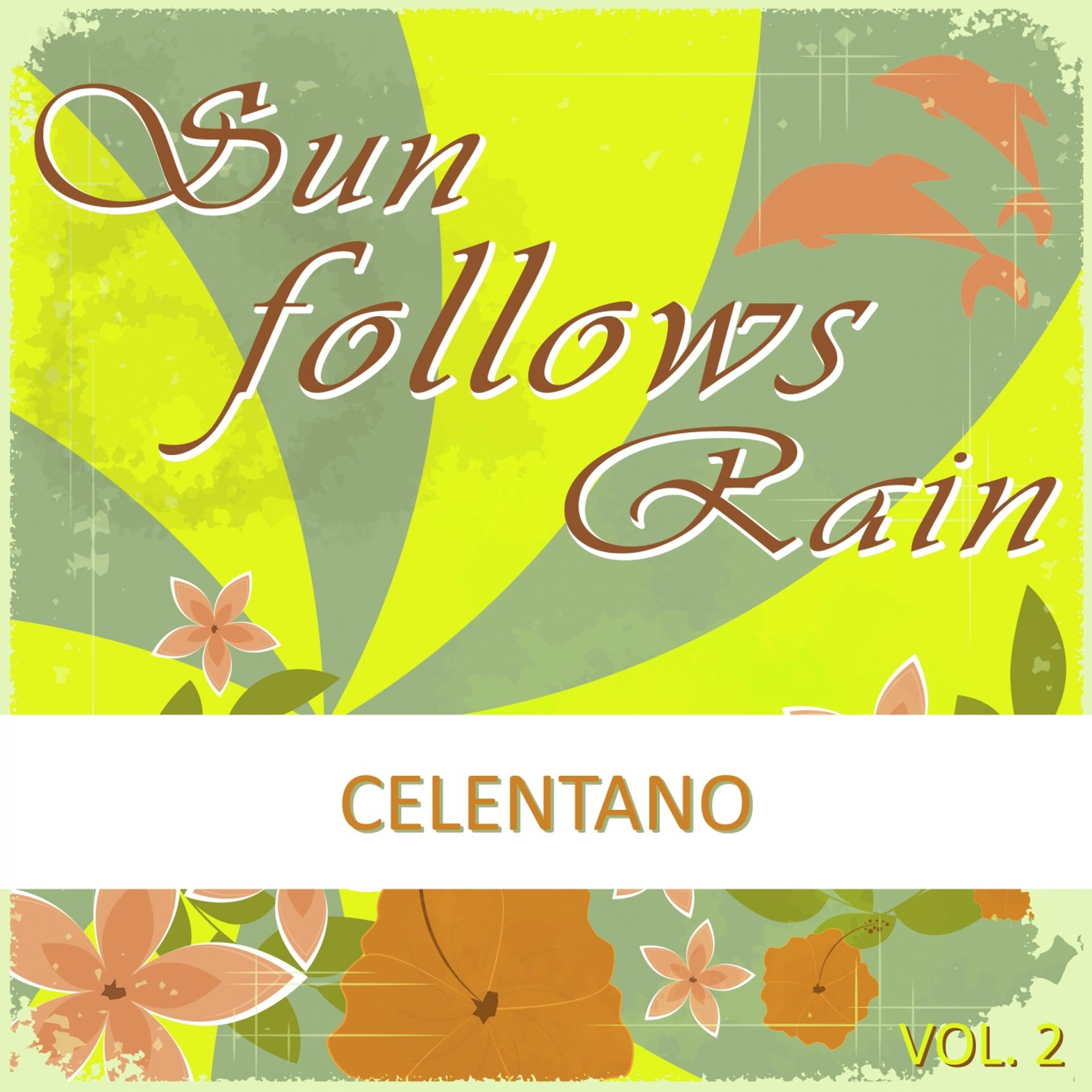 Постер альбома Sun Follows Rain