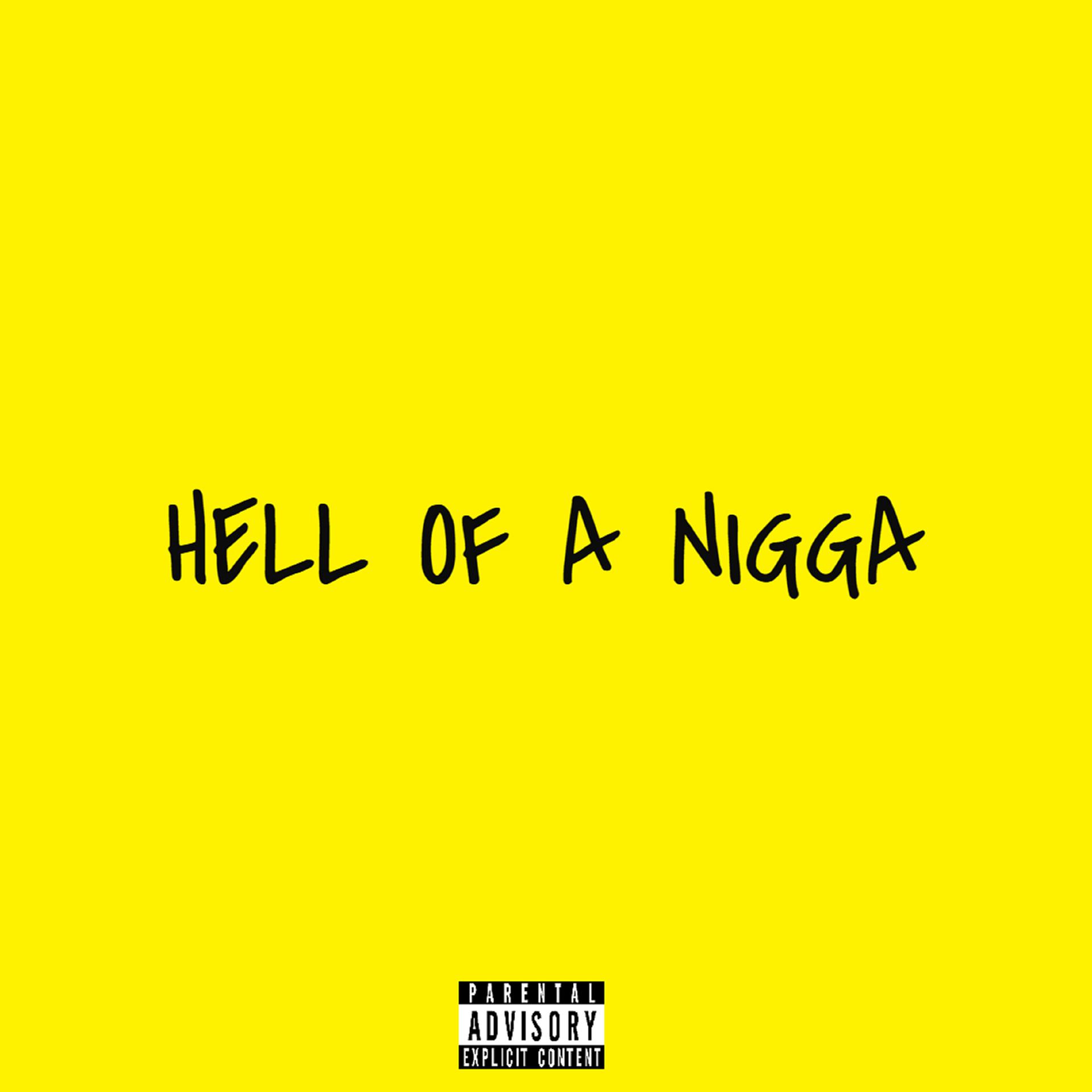 Постер альбома Hell of a Nigga