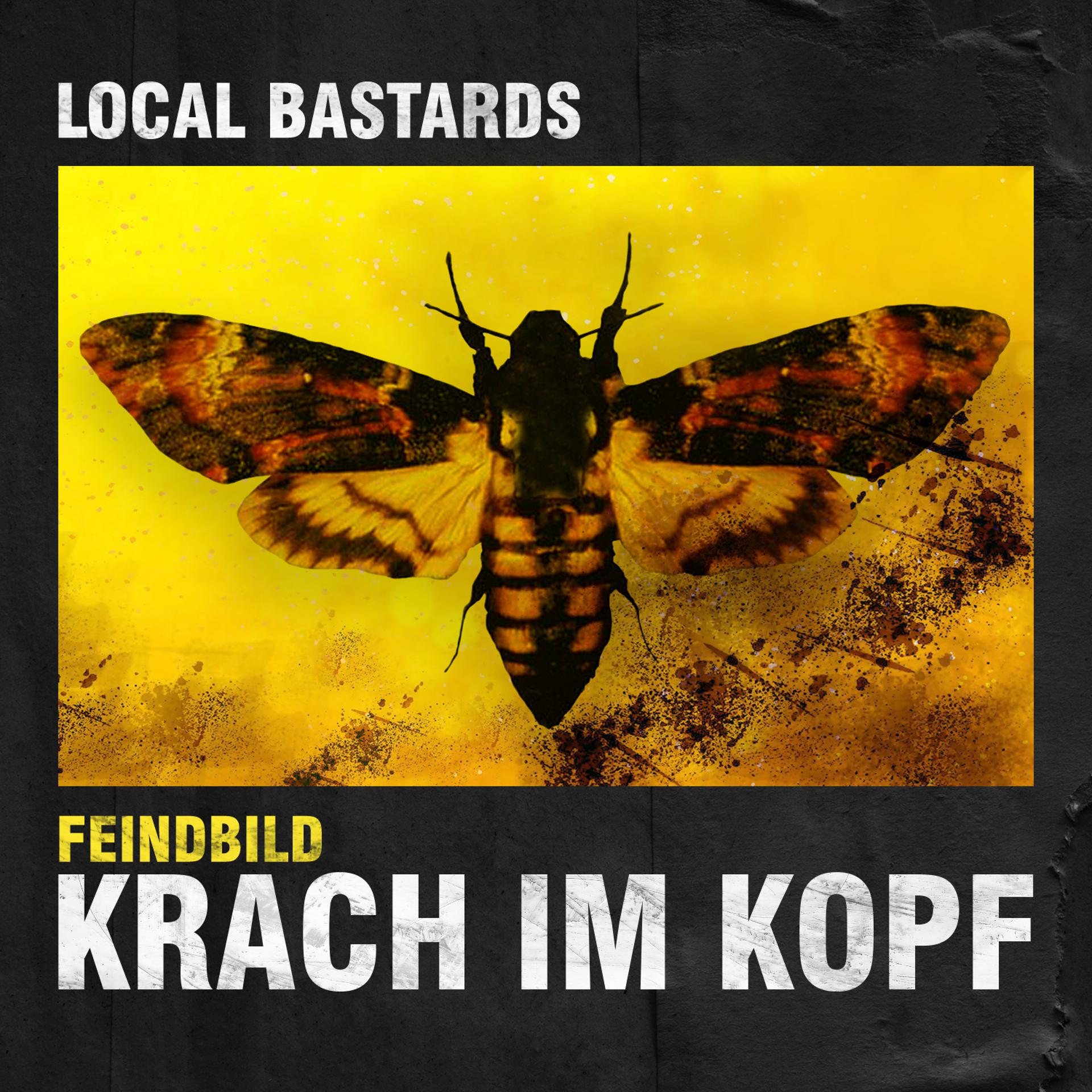 Постер альбома Krach im Kopf