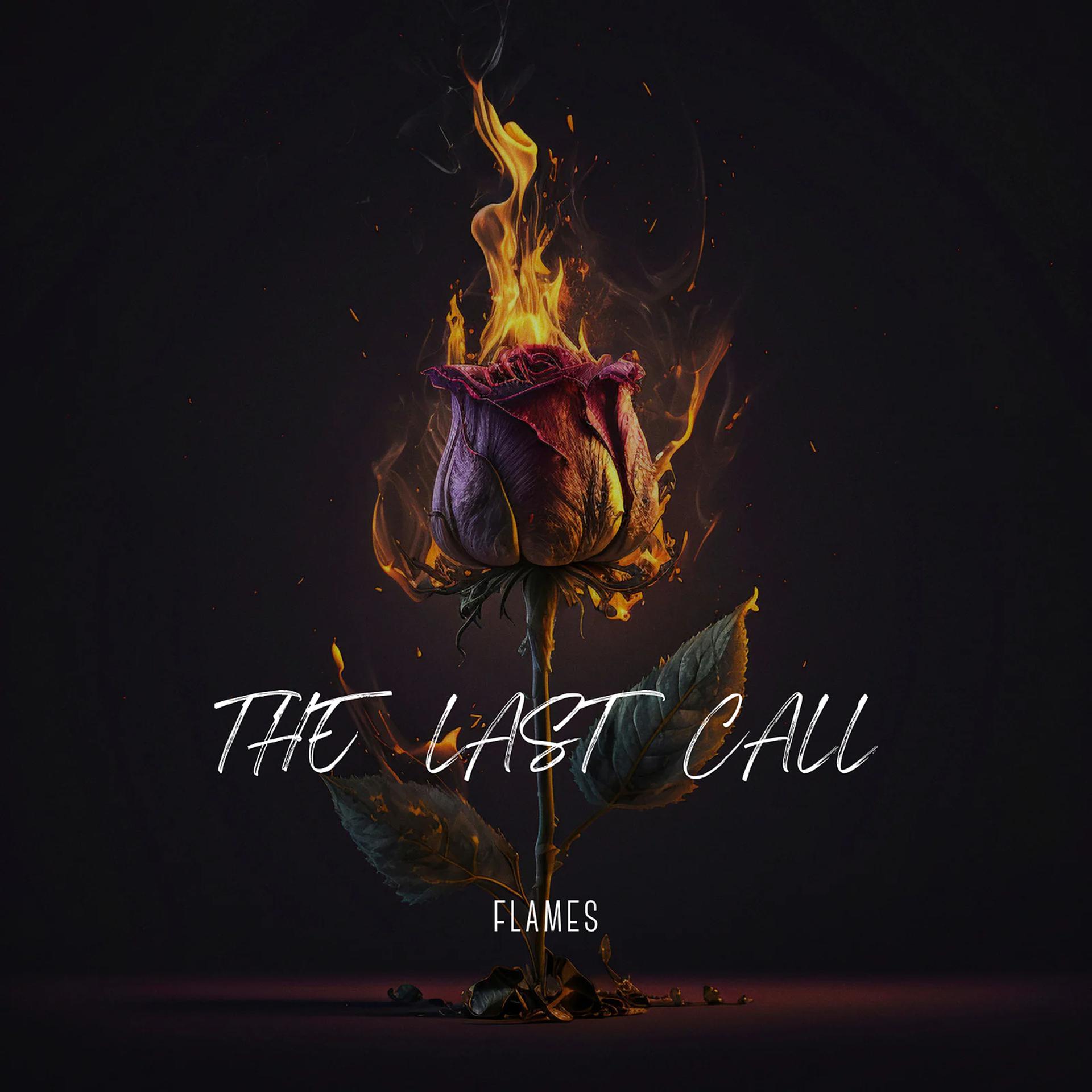 Постер альбома The Last Call
