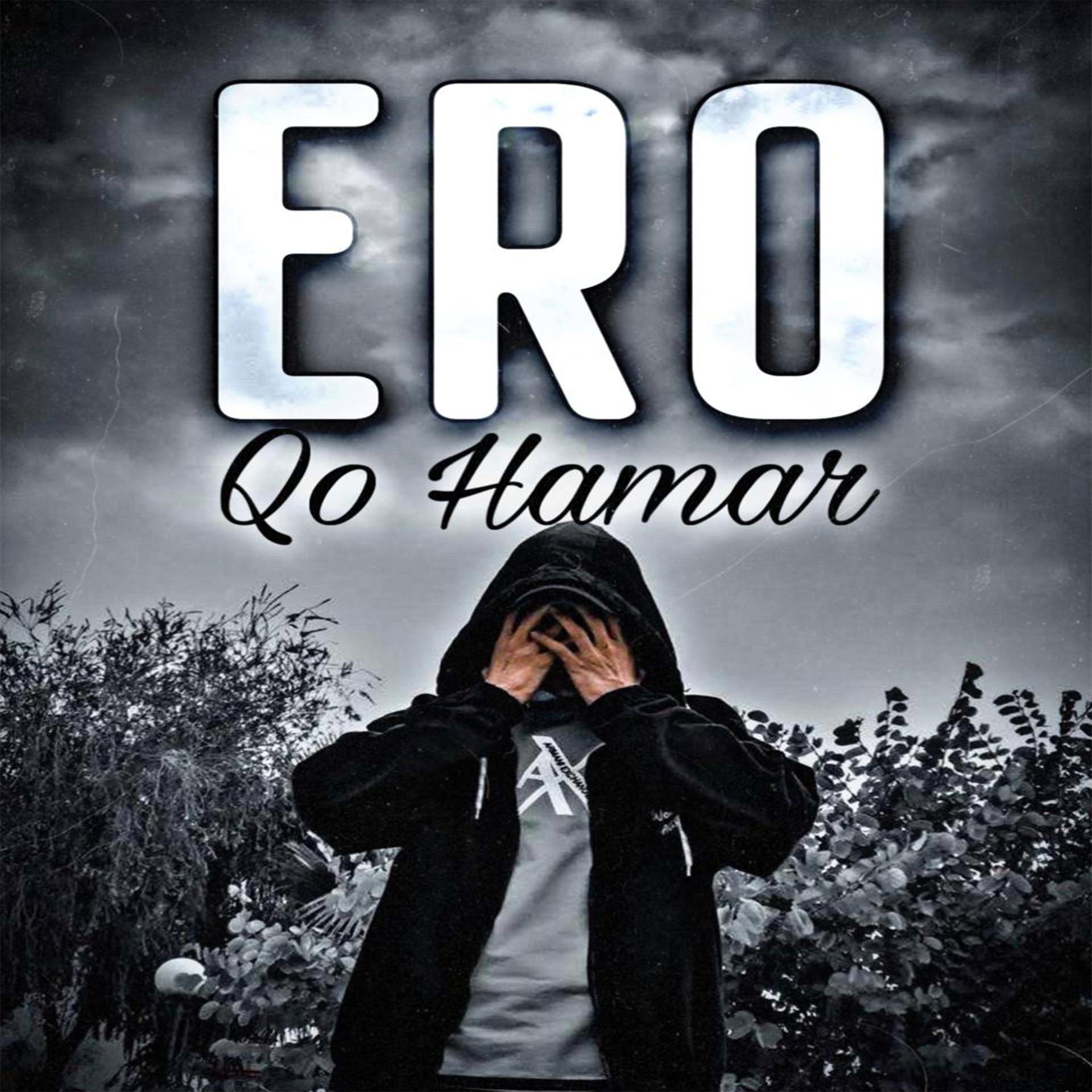 Постер альбома Qo Hamar