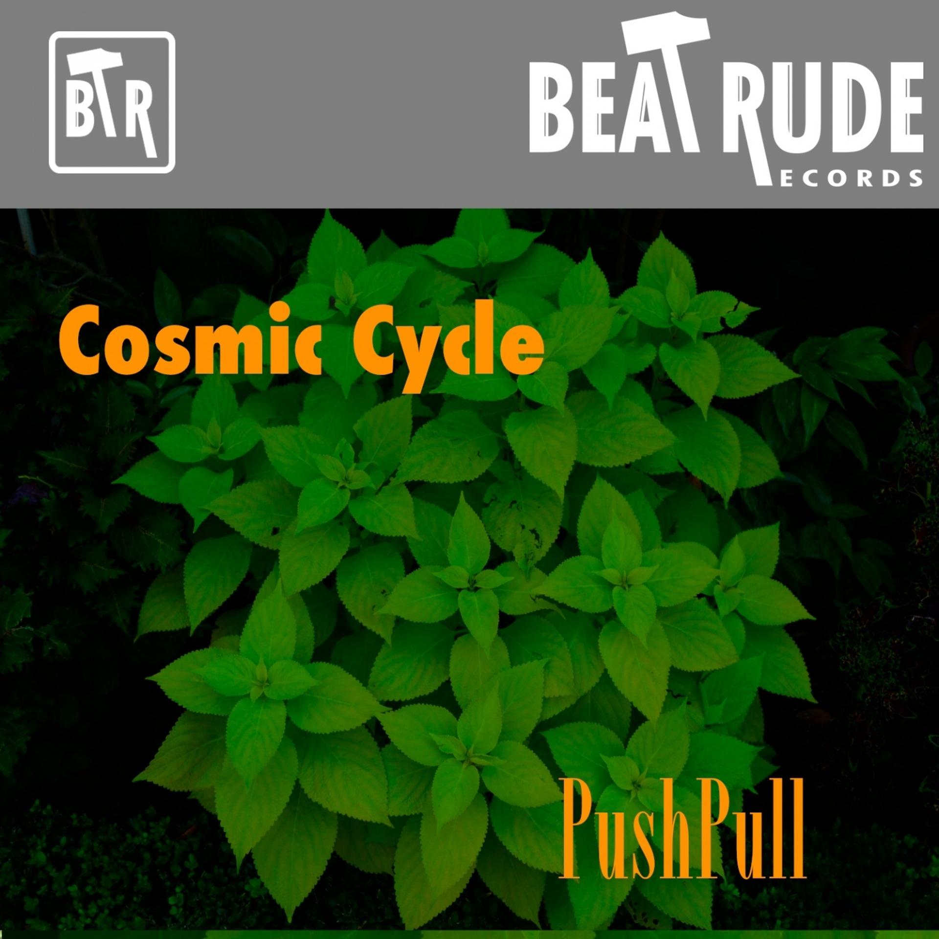 Постер альбома Cosmic Cycle