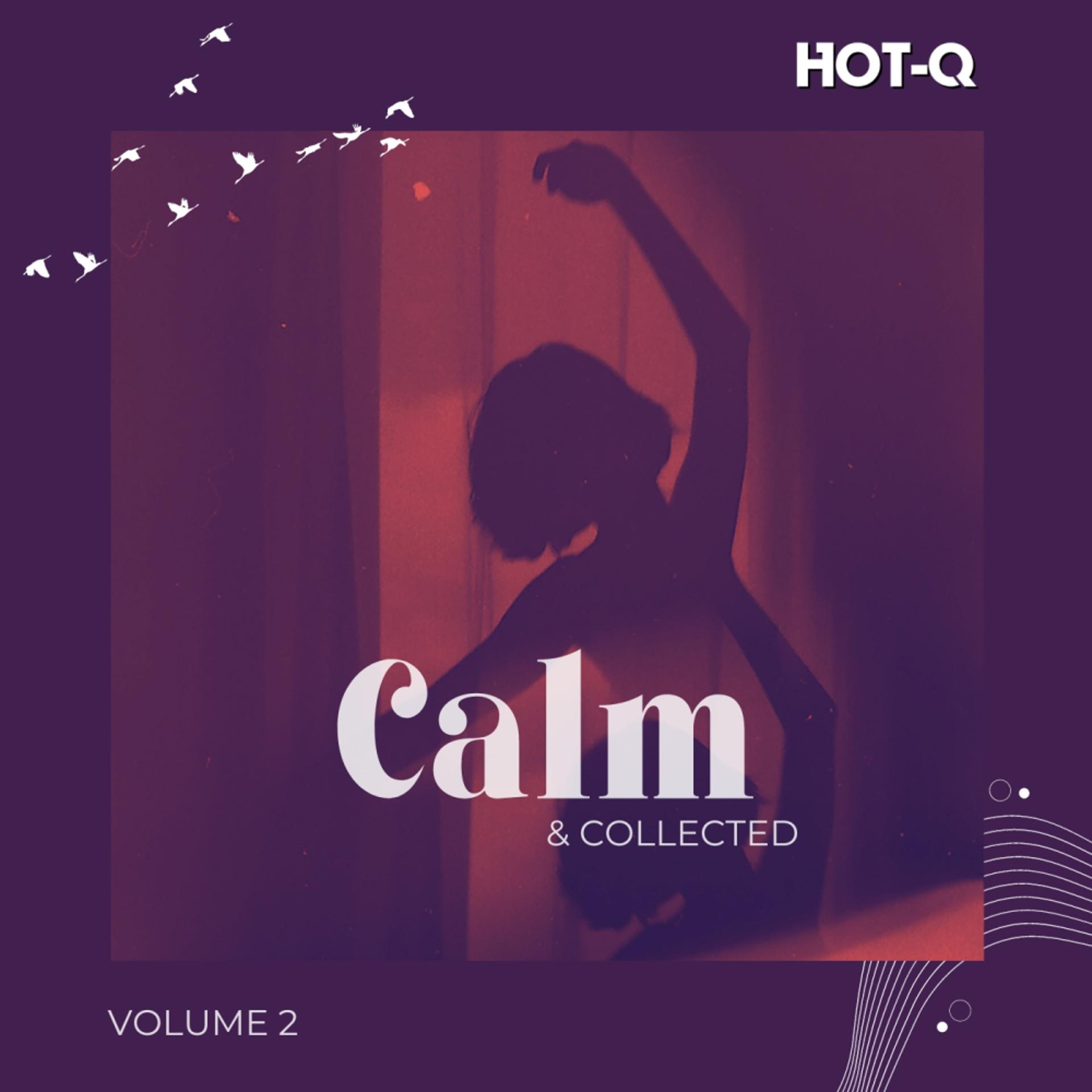 Постер альбома Calm & Collected 002