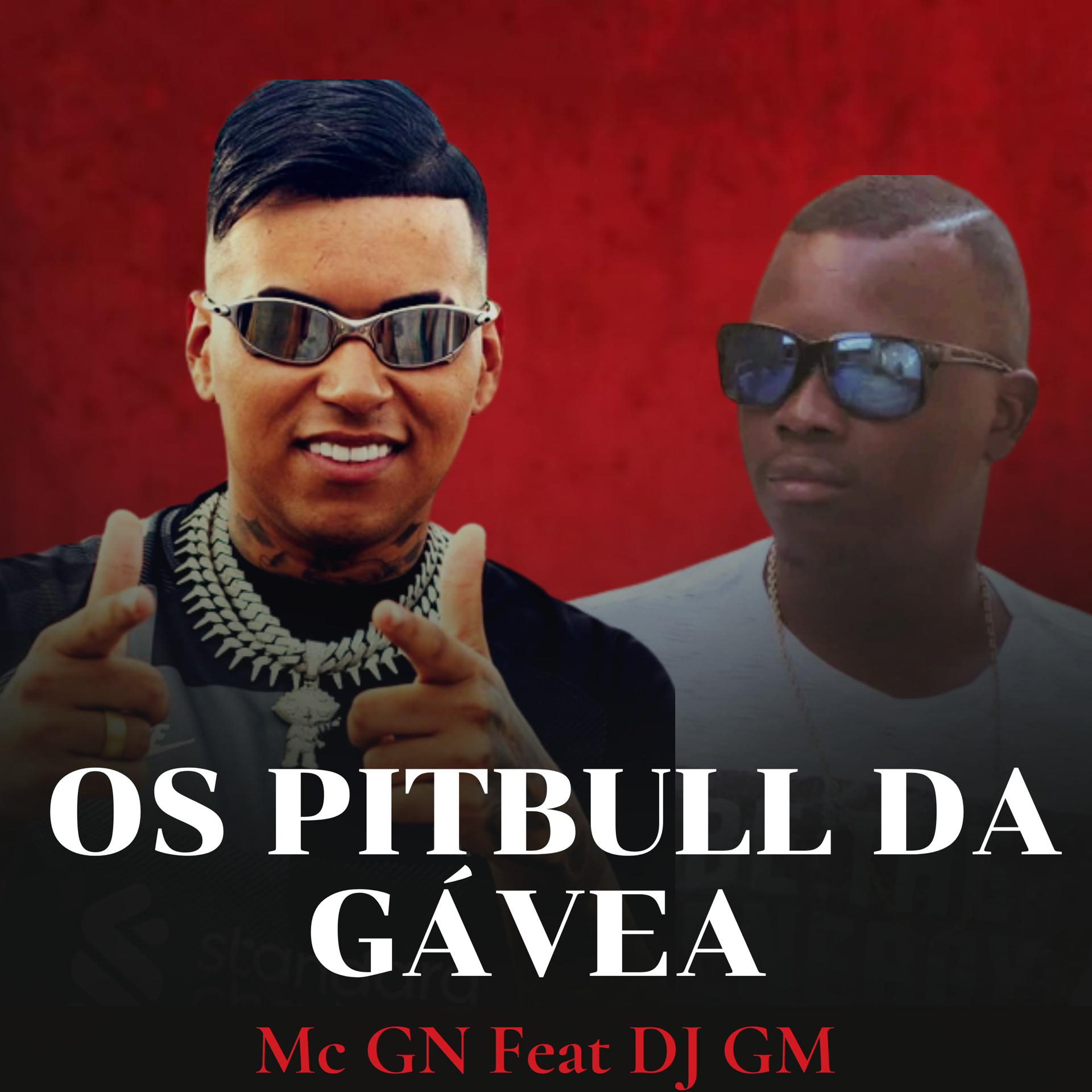 Постер альбома Os Pitbull Da Gavea