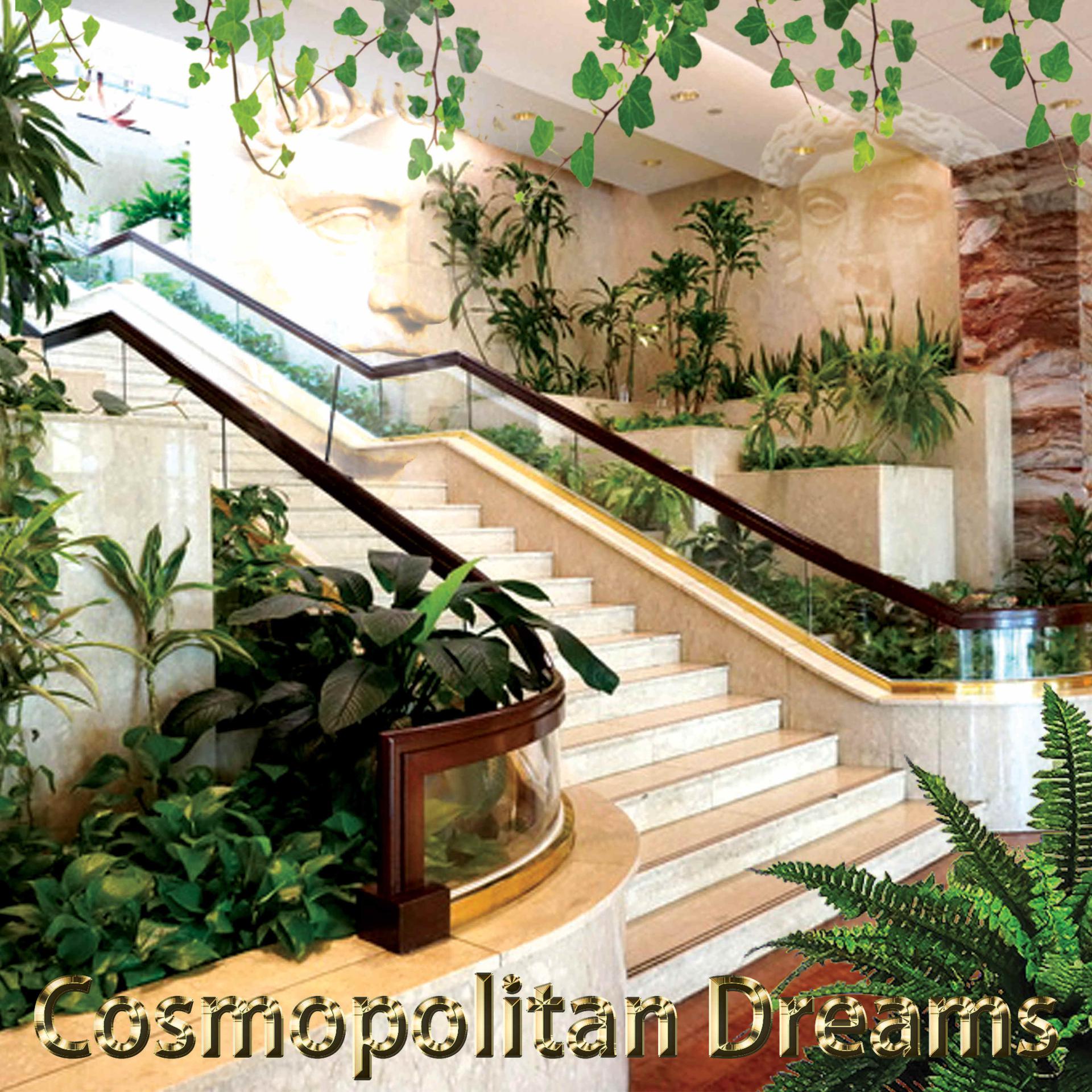Постер альбома cosmopolitan dreams