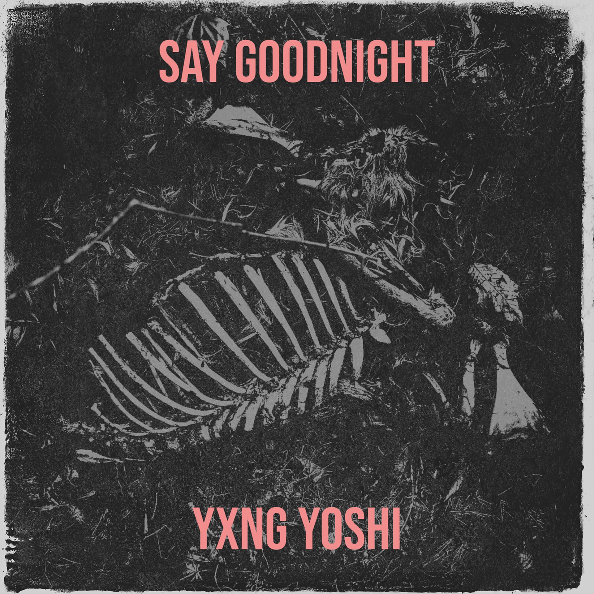 Постер альбома Say Goodnight