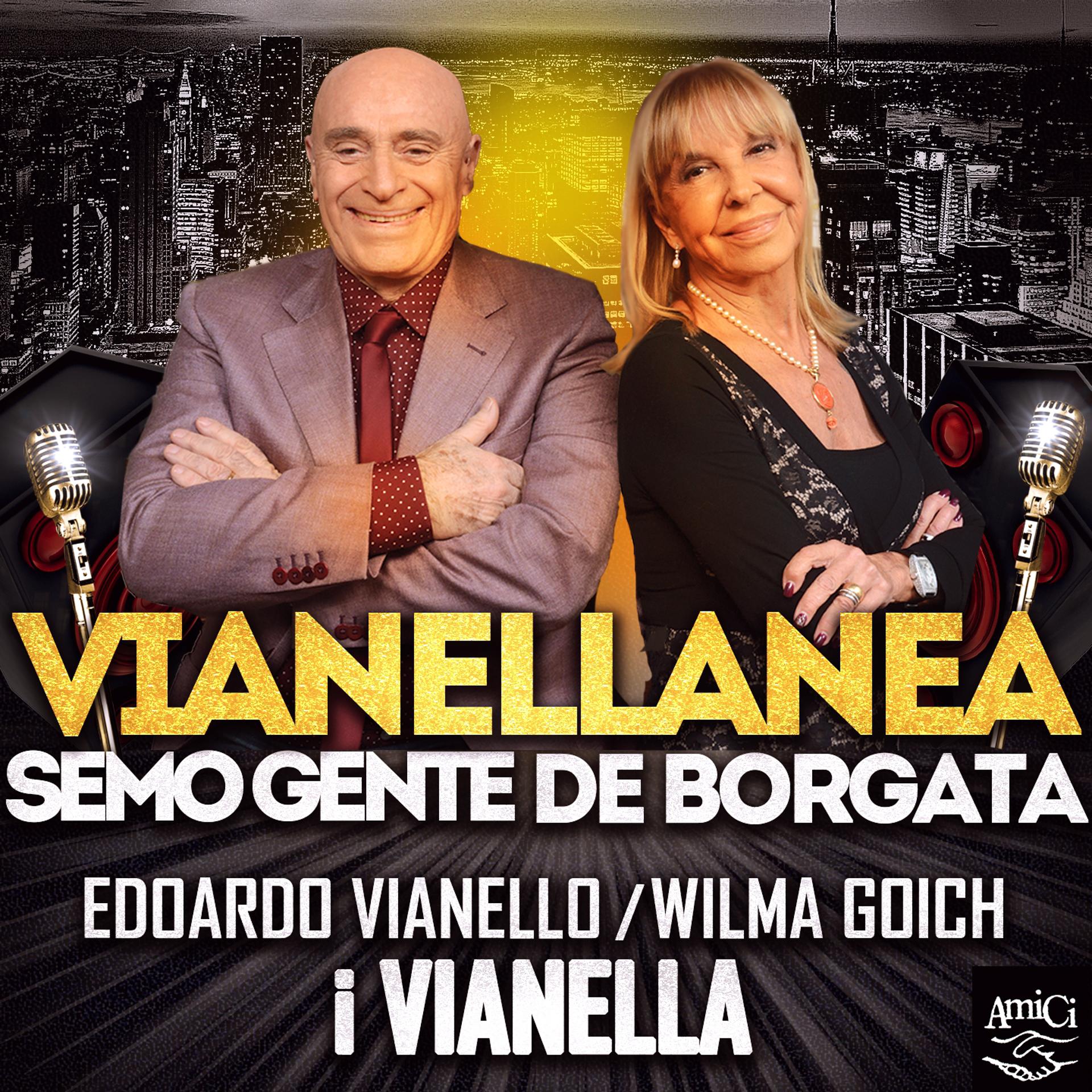 Постер альбома Vianellanea