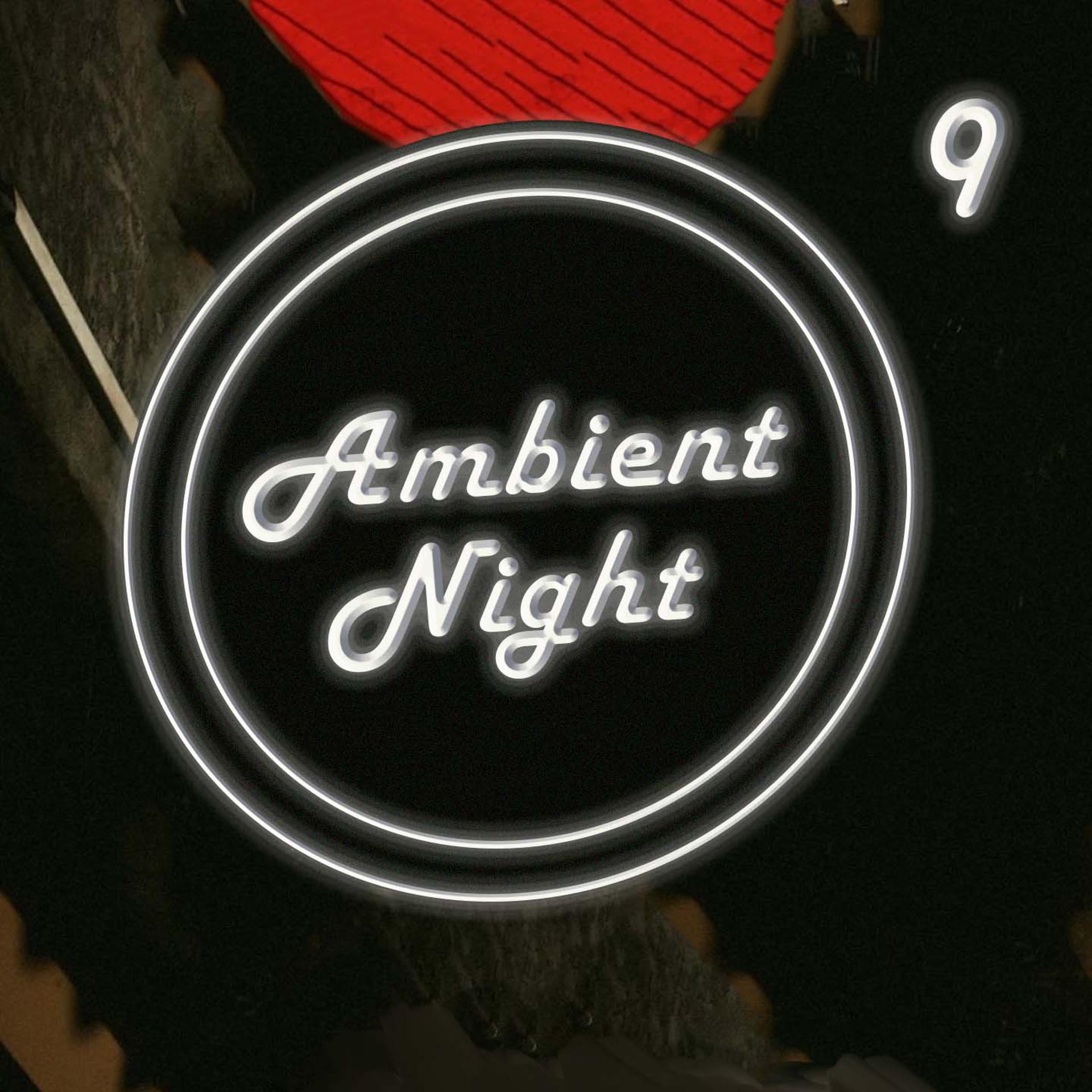 Постер альбома Ambient Nights 9