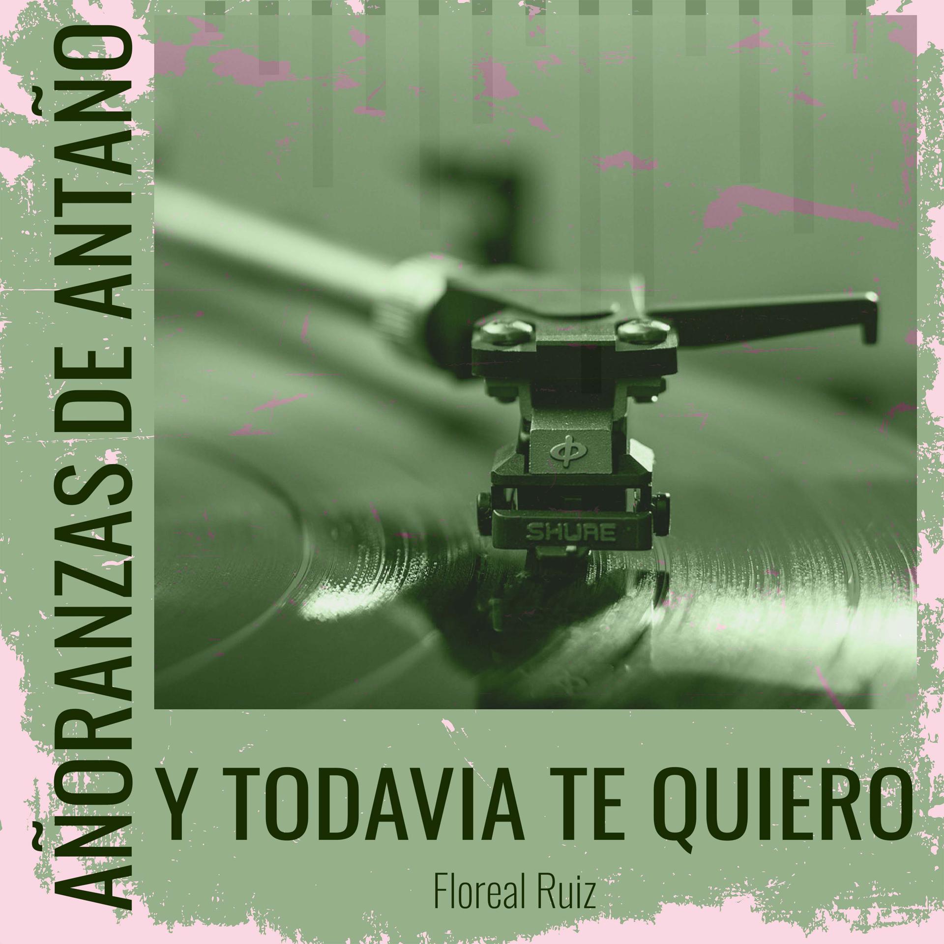 Постер альбома Añoranzas de Antaño - Y Todavia Te Quiero