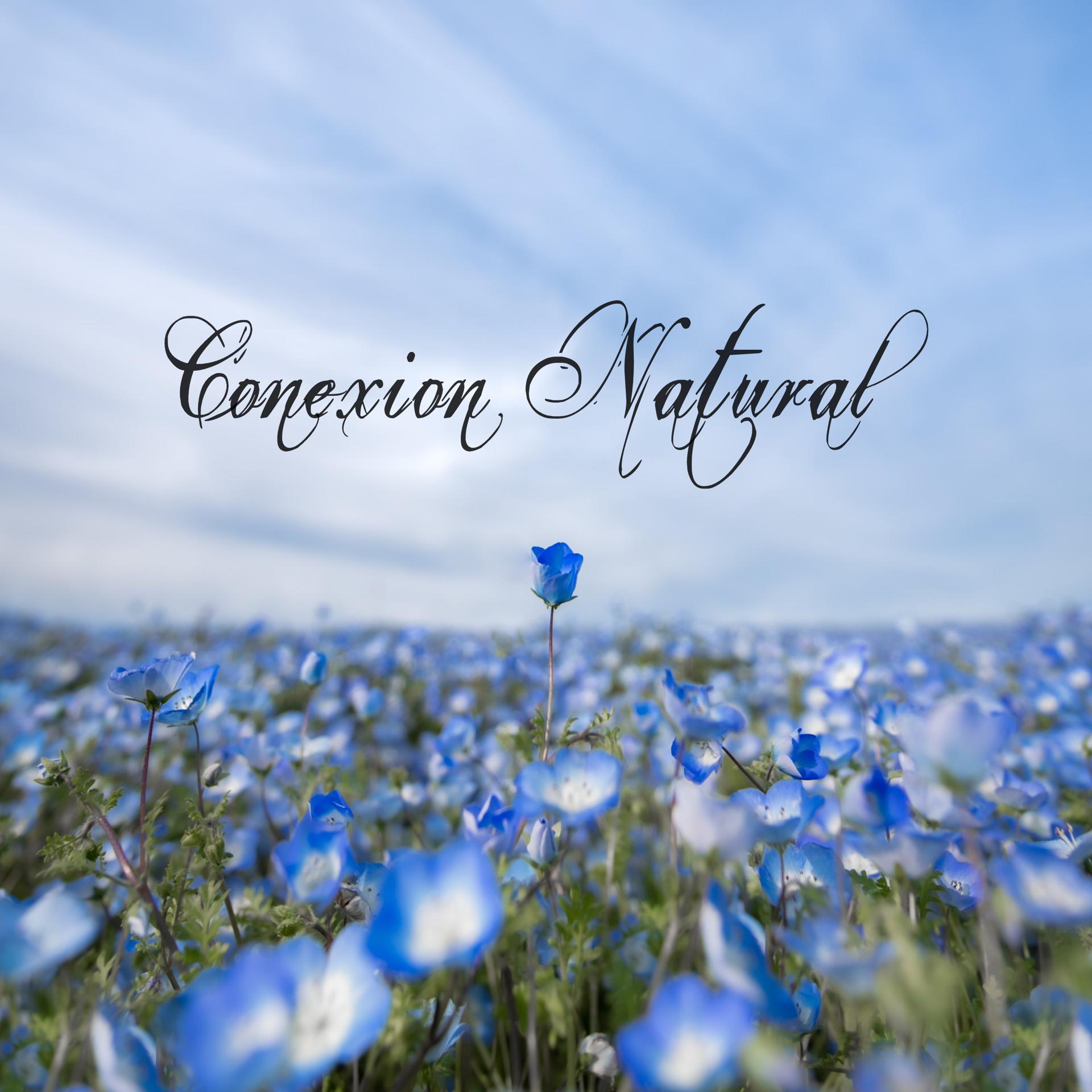 Постер альбома Conexion Natural