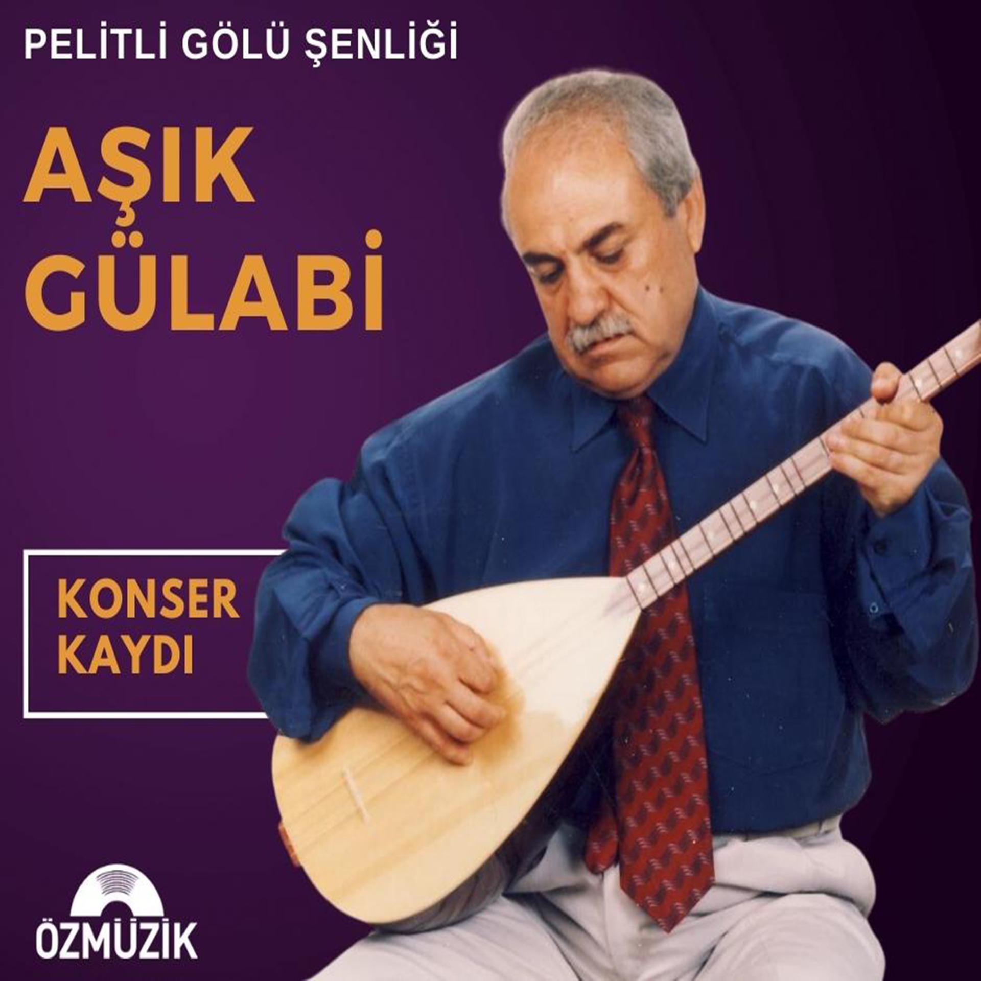 Постер альбома Pelitli Göl Şenliği Konser Kaydı