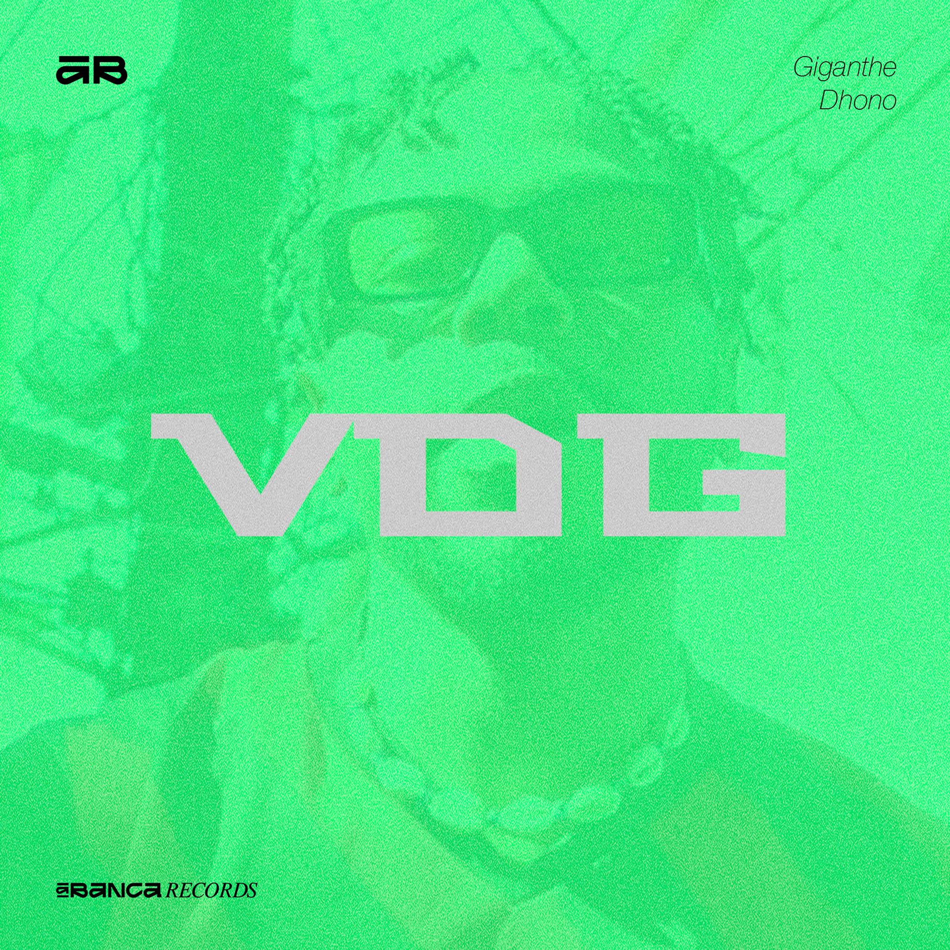 Постер альбома Vdg