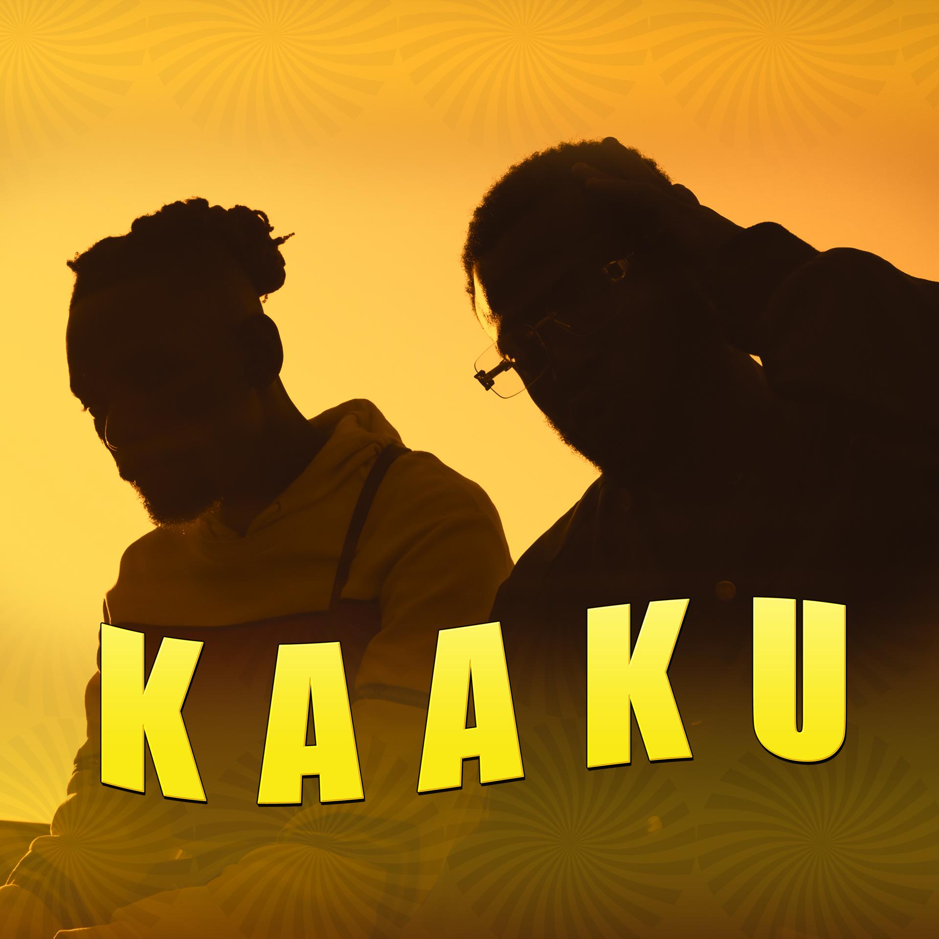 Постер альбома Kaaku