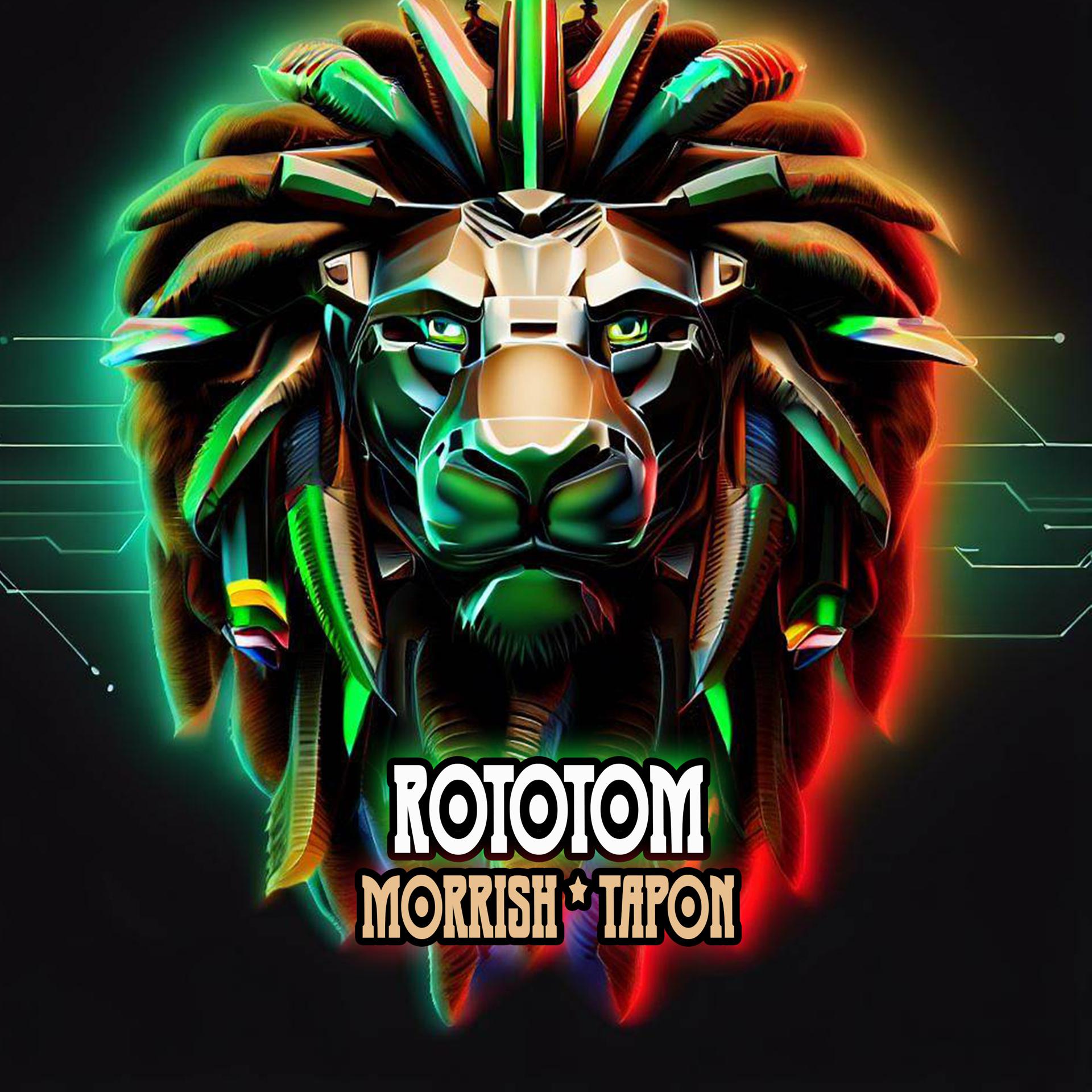 Постер альбома Rototom