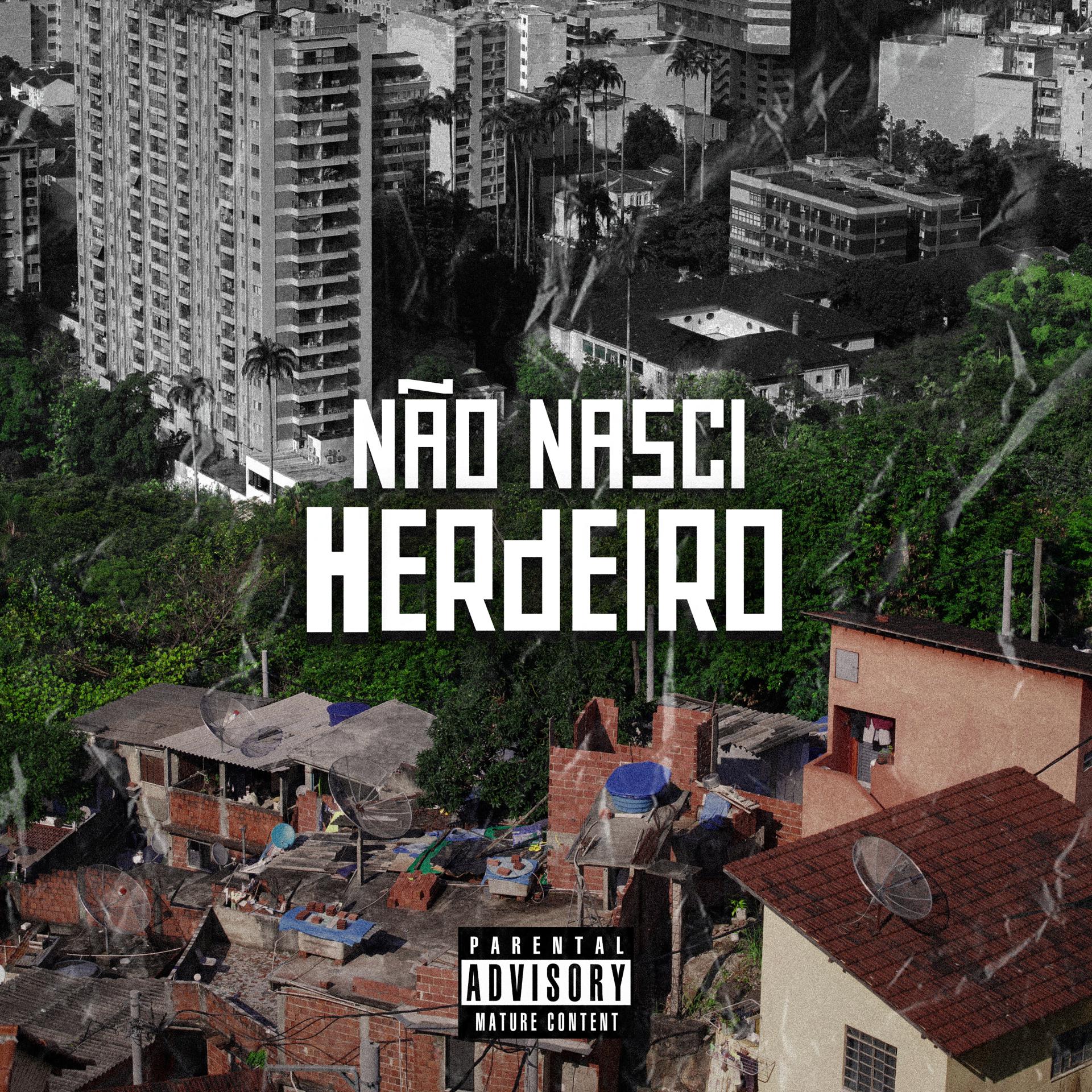 Постер альбома Não Nasci Herdeiro