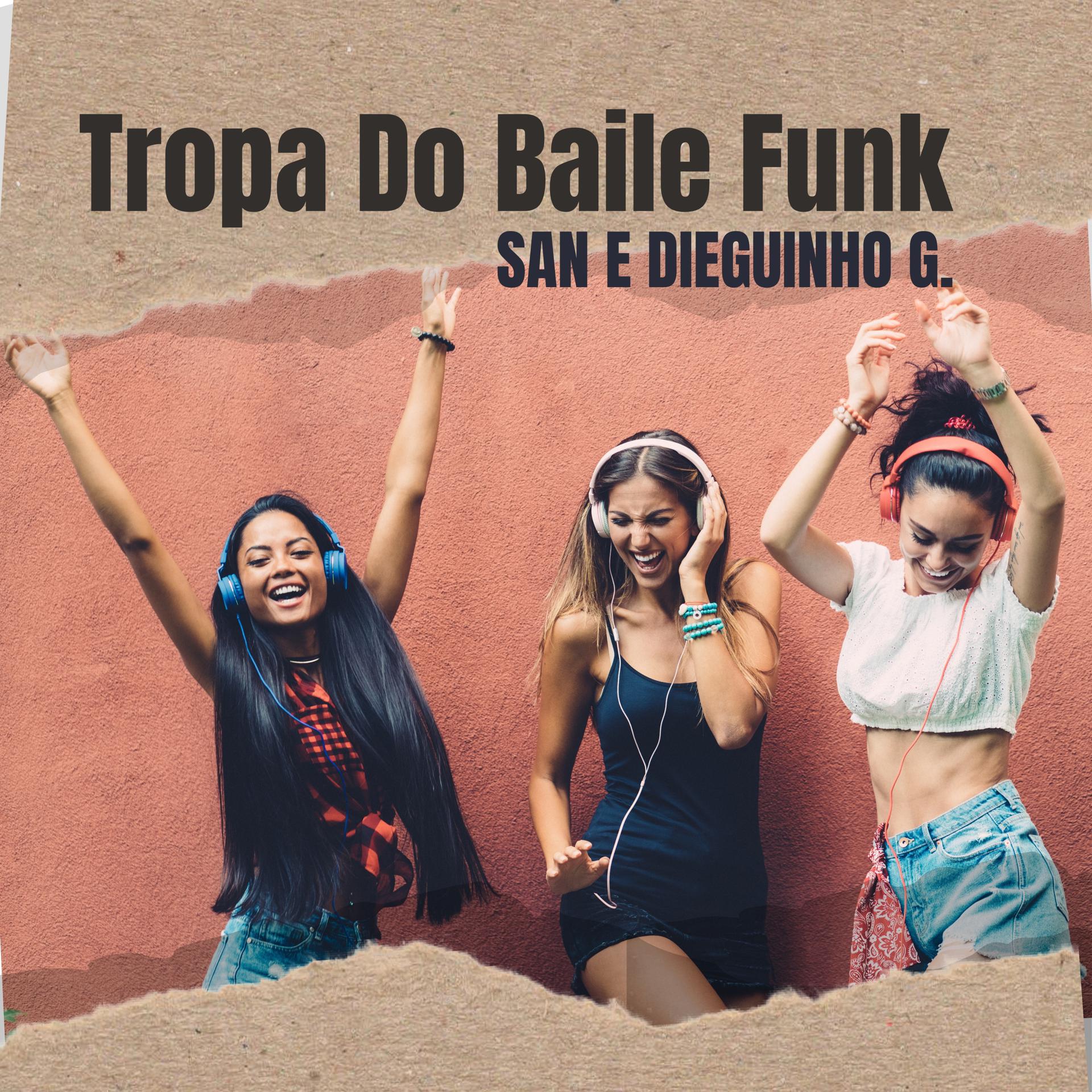 Постер альбома Tropa do Baile Funk / Dia de Balada