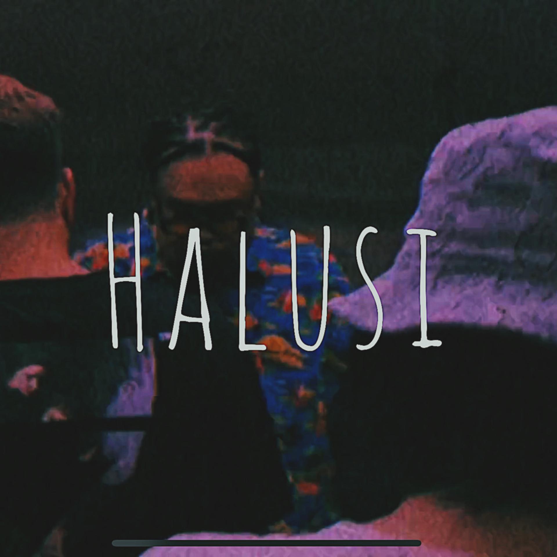 Постер альбома Halusi