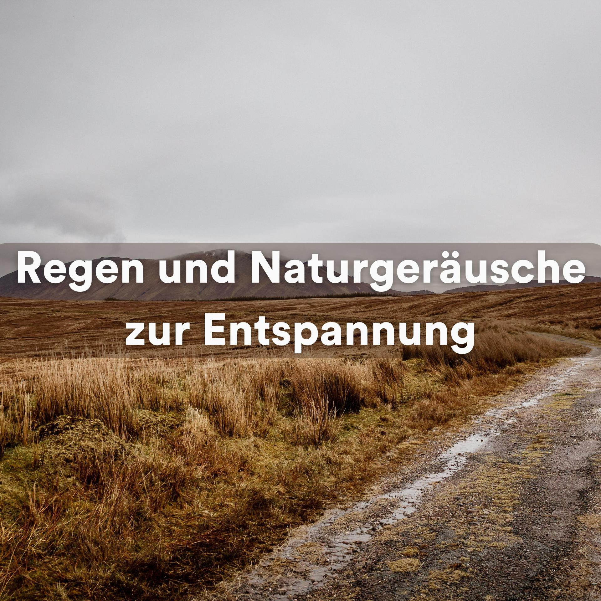 Постер альбома Regen und Naturgeräusche zur Entspannung