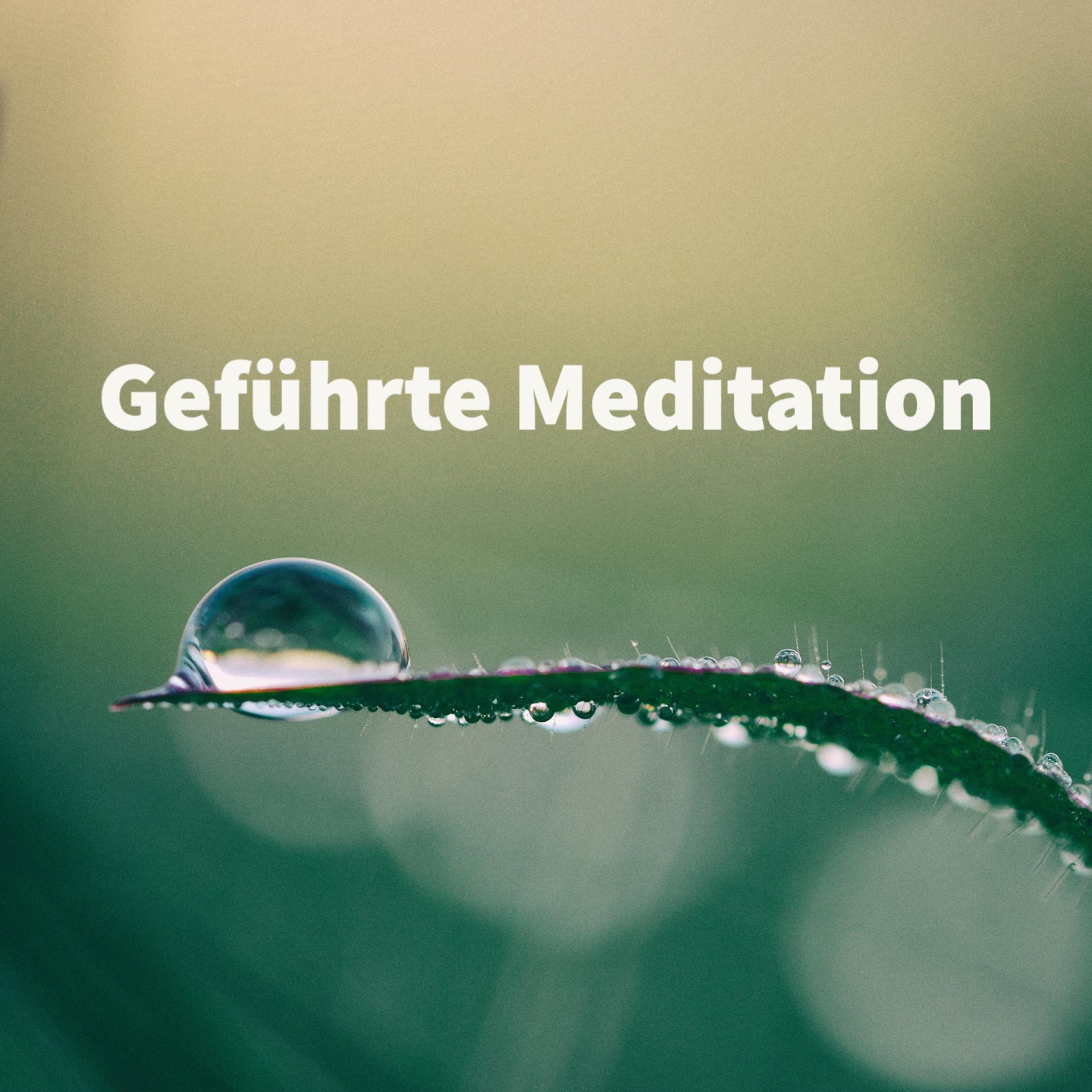 Постер альбома Geführte Meditation