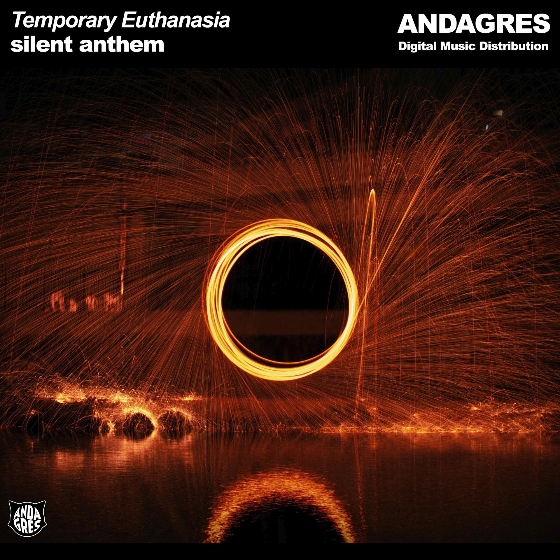 Постер альбома Temporary Euthanasia