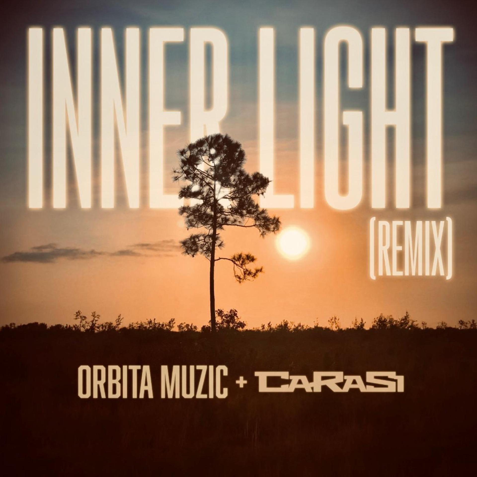 Постер альбома INNER LIGHT (Remix)