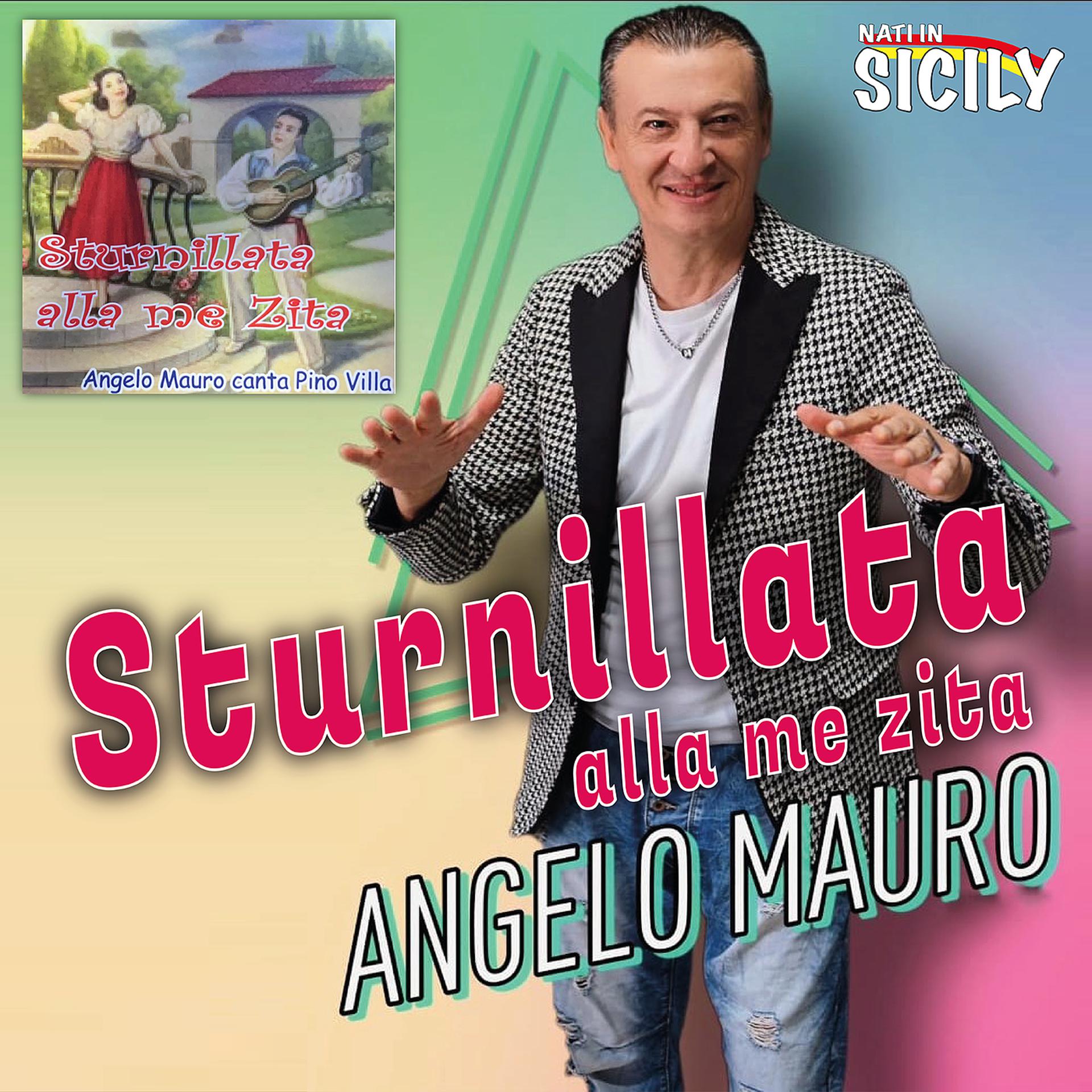 Постер альбома Sturnillata alla me zita