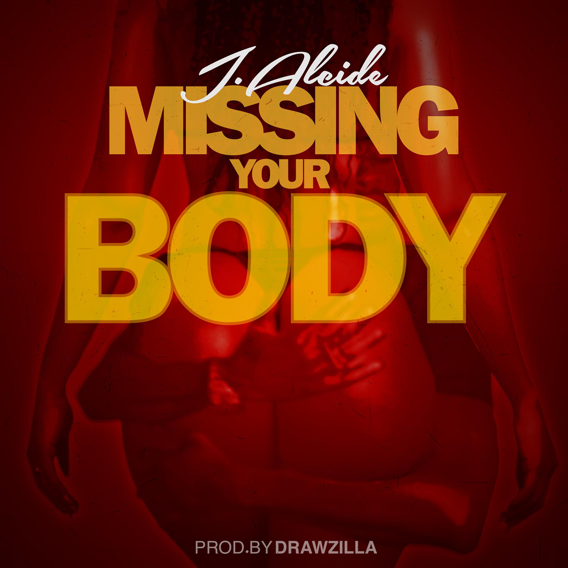Постер альбома Missing Your Body