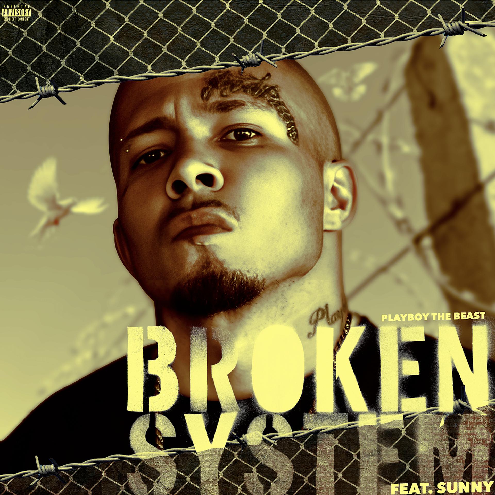 Постер альбома Broken System