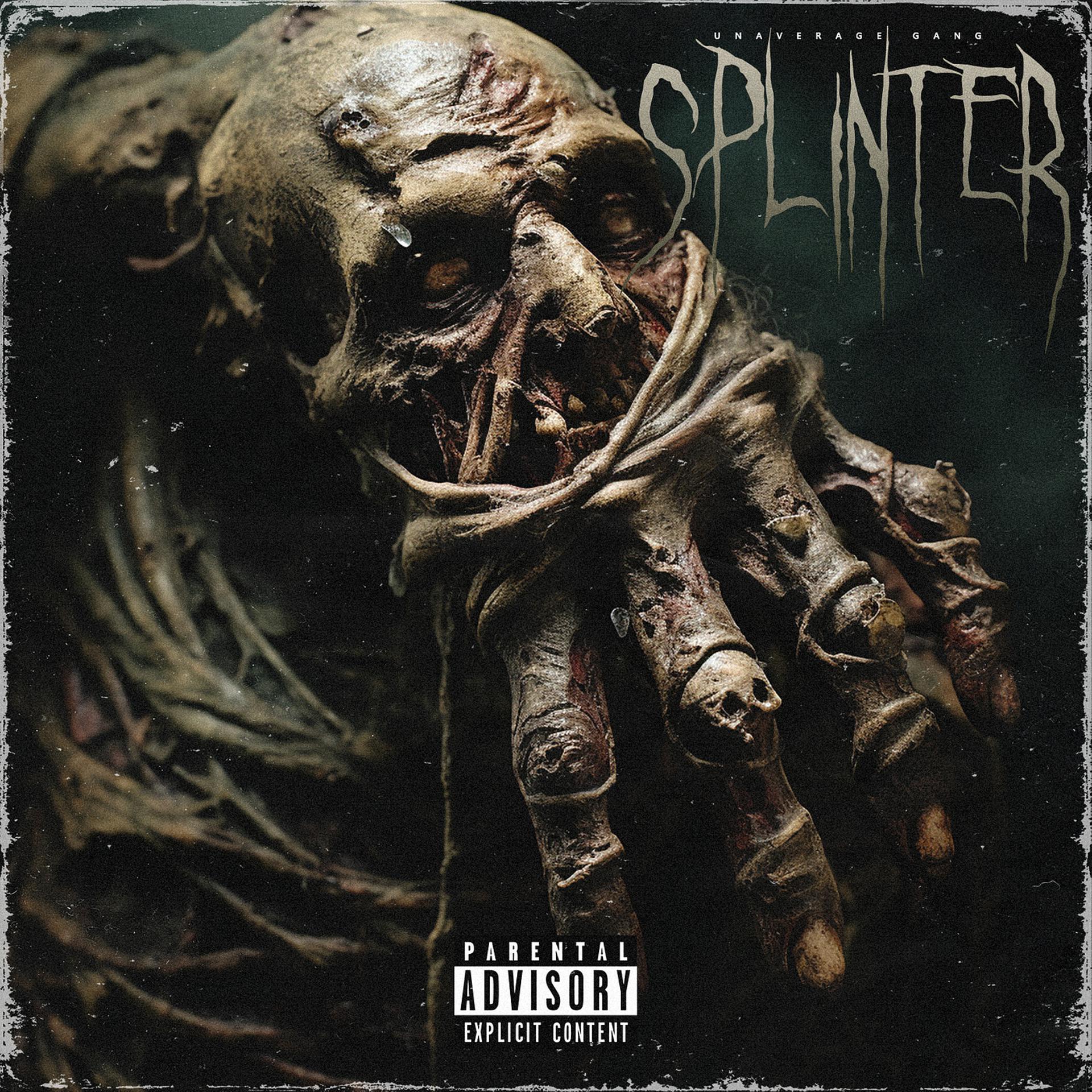 Постер альбома Splinter