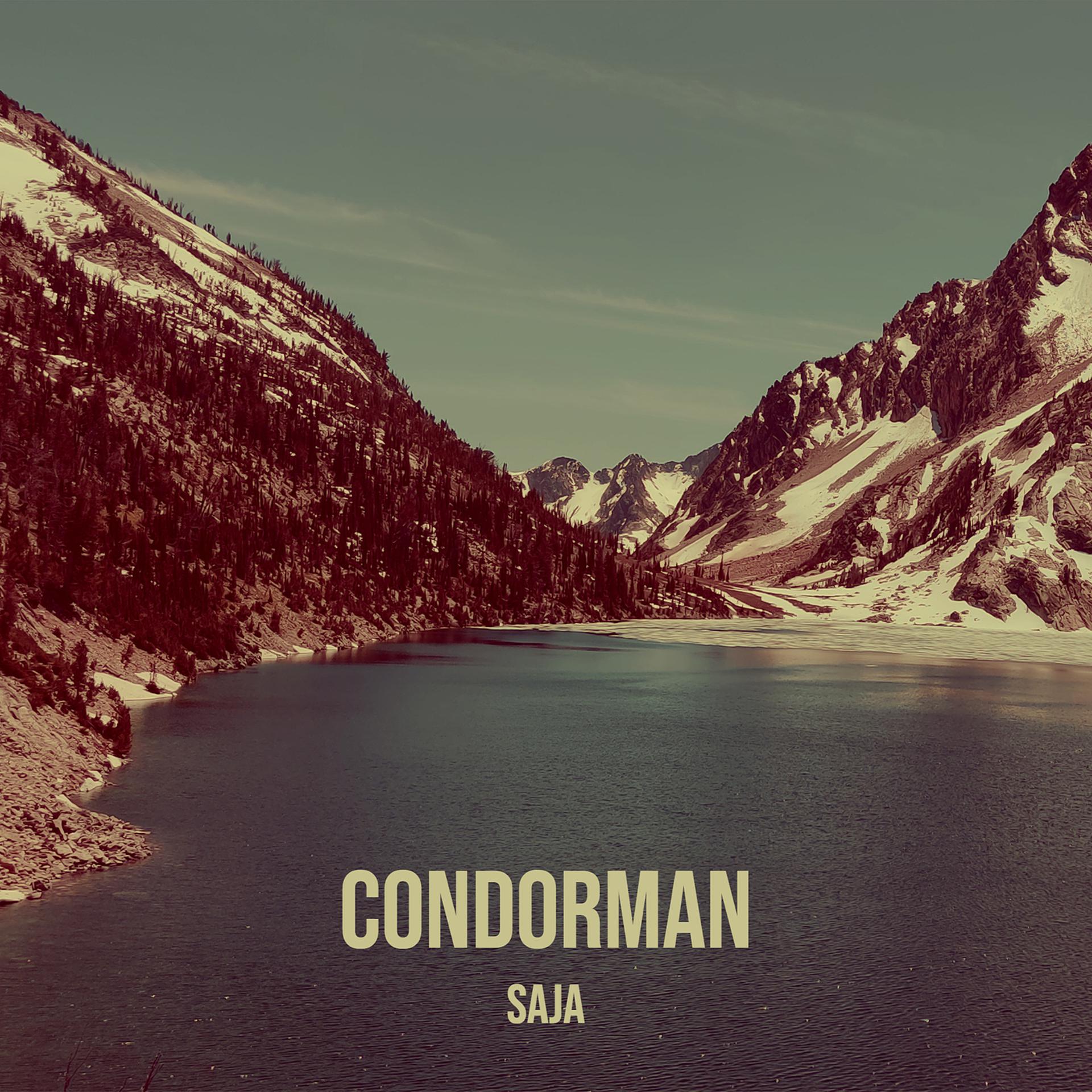 Постер альбома Condorman