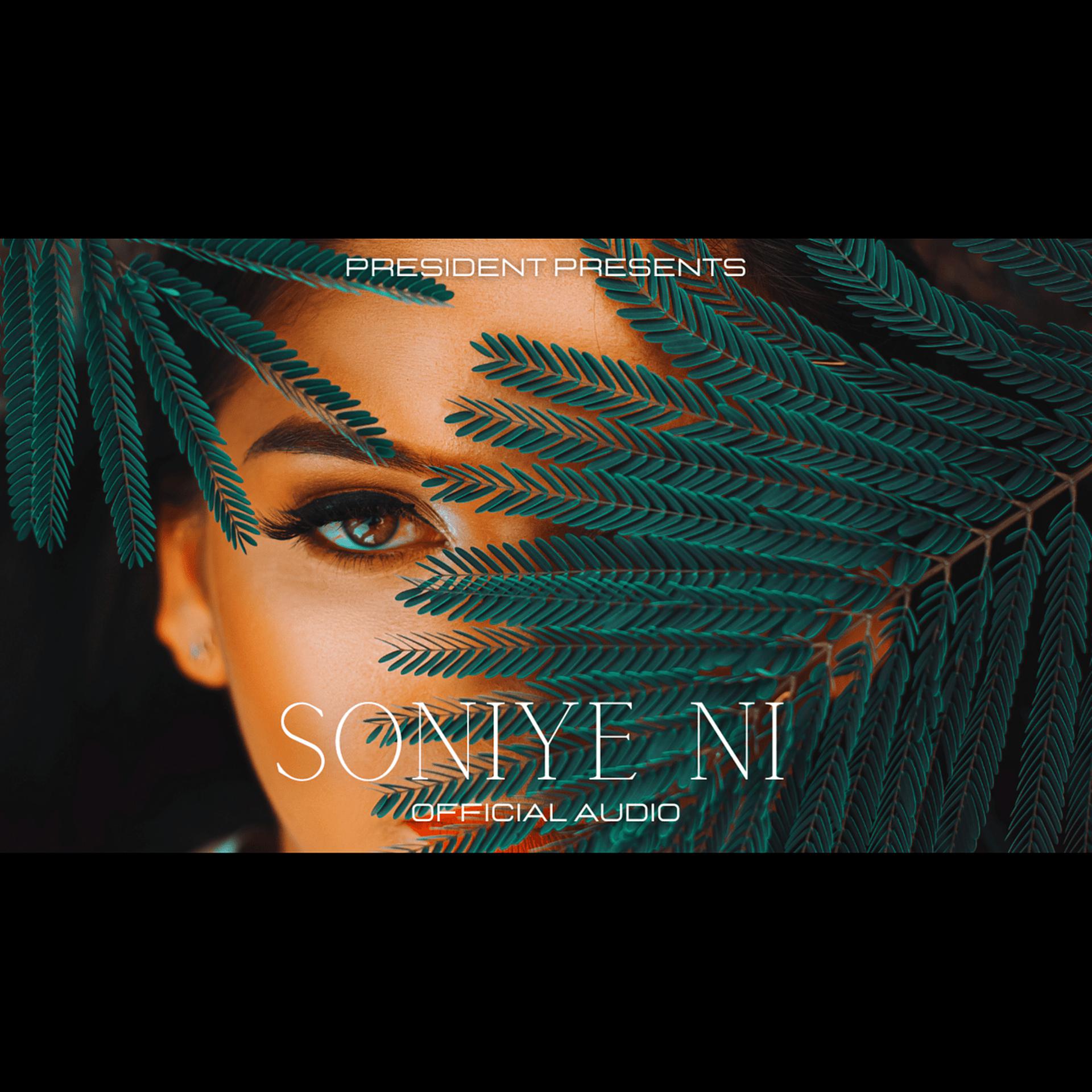 Постер альбома Soniye Ni