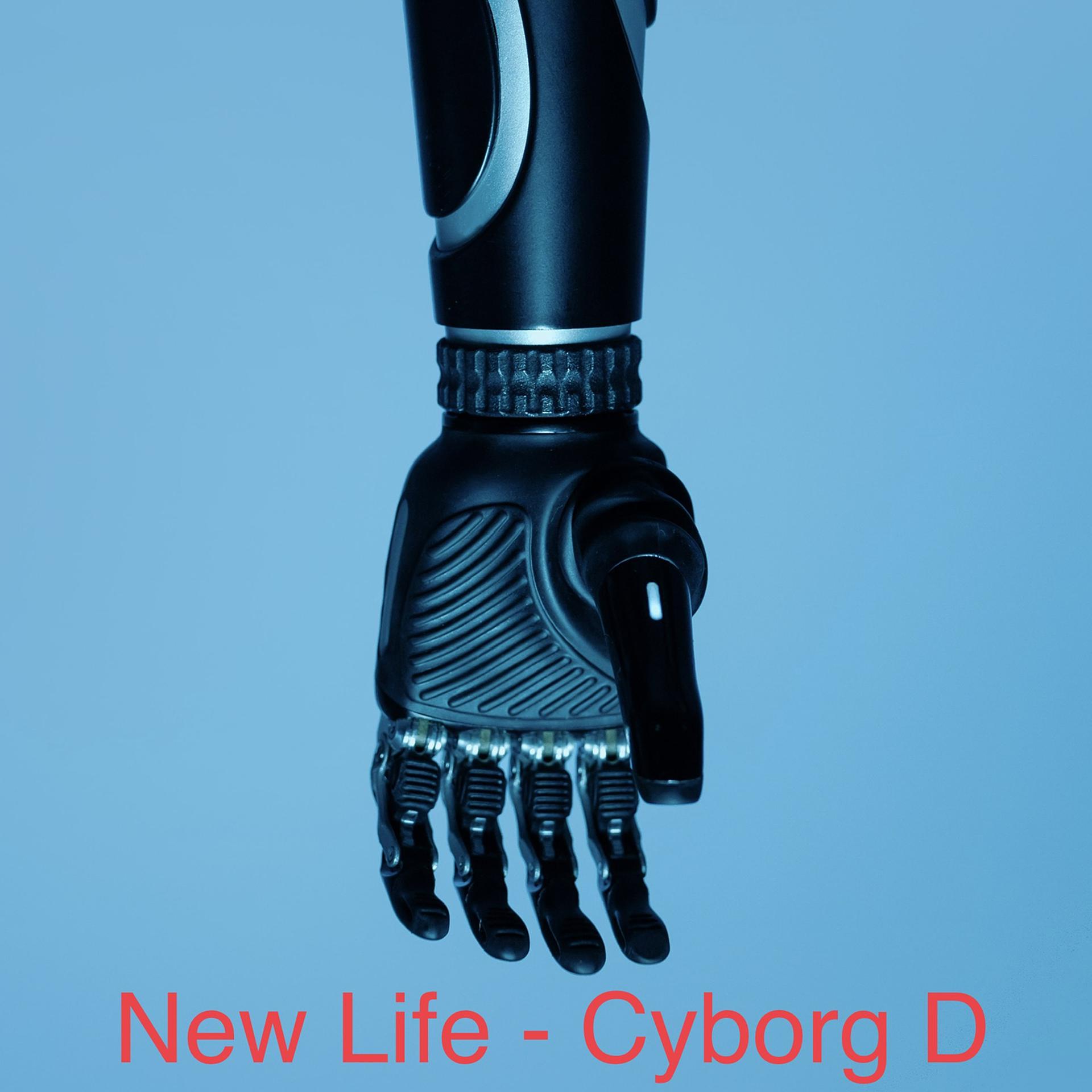 Постер альбома Cyborg D