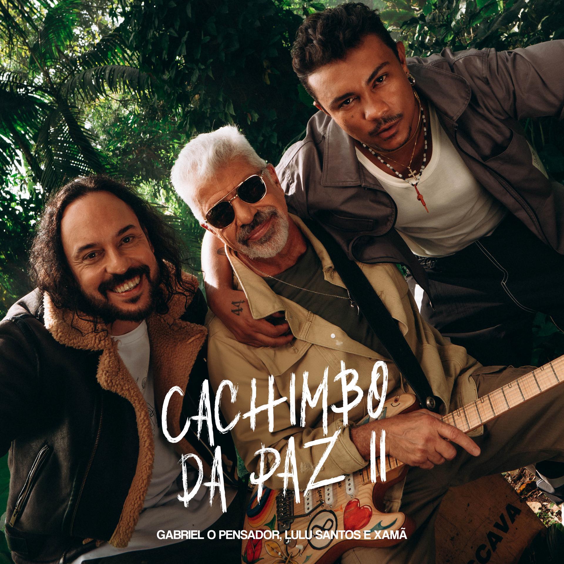 Постер альбома Cachimbo da Paz 2