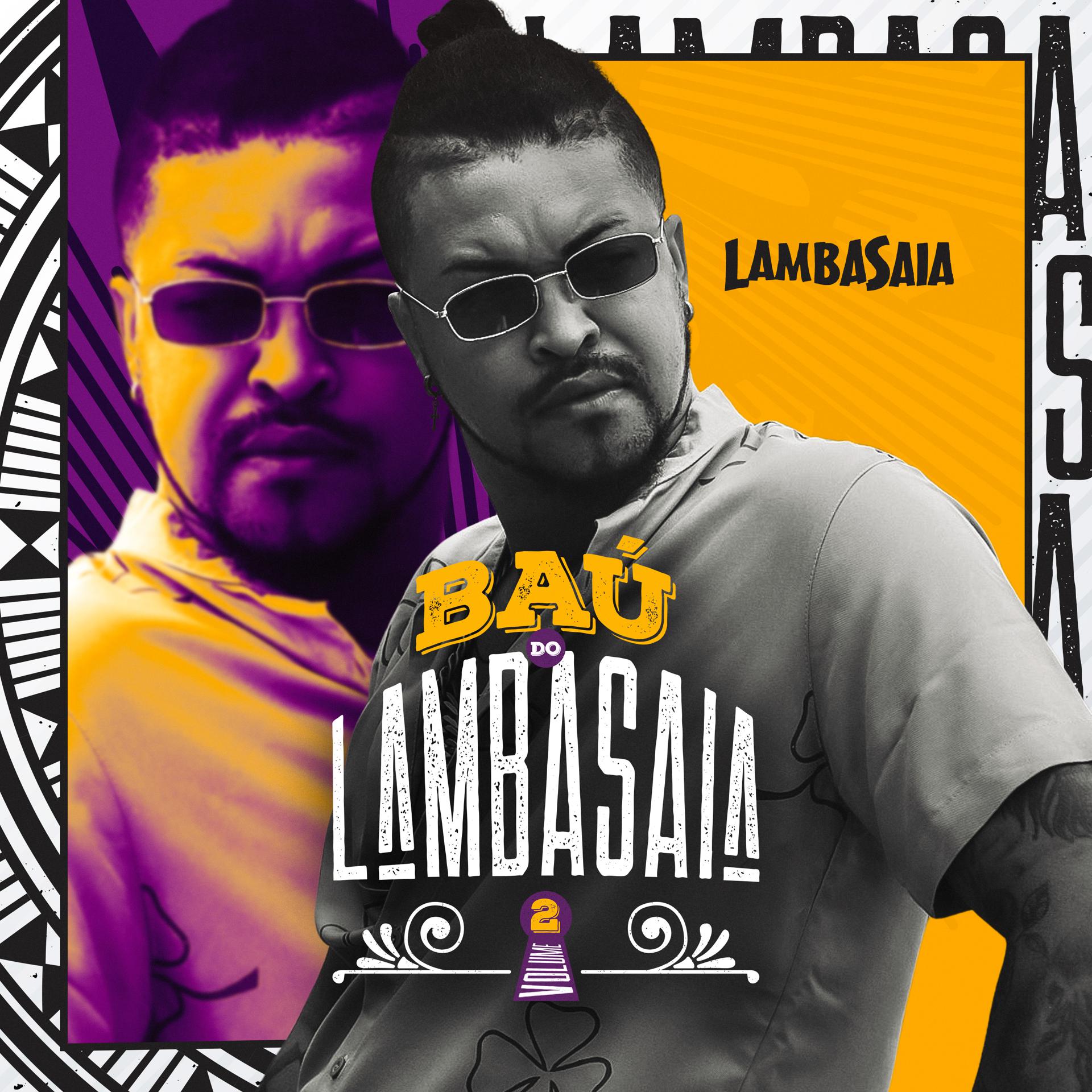 Постер альбома Baú do Lambasaia, Vol. 2